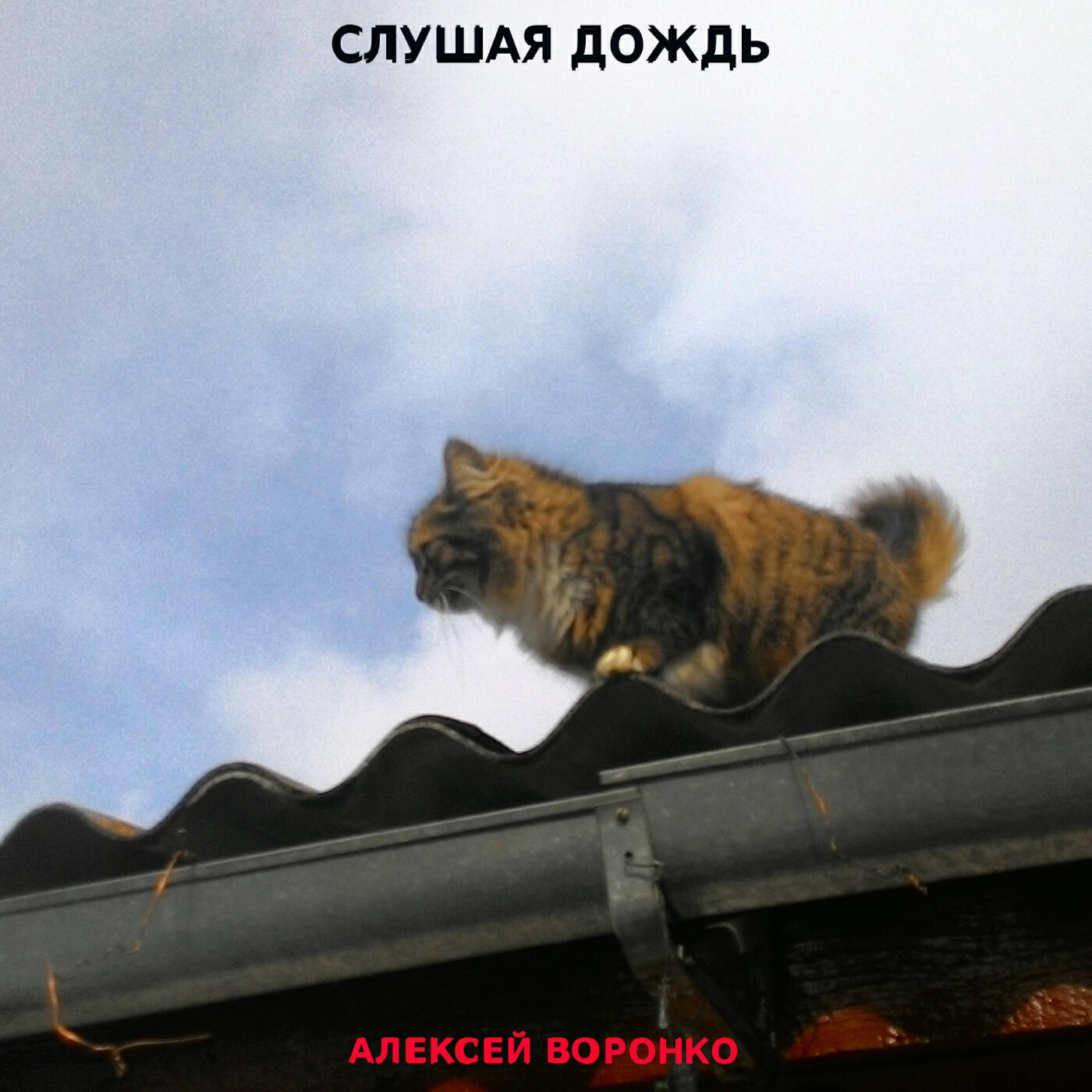 Релиз Слушая дождь