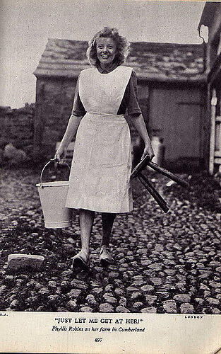 Phyllis Robins
