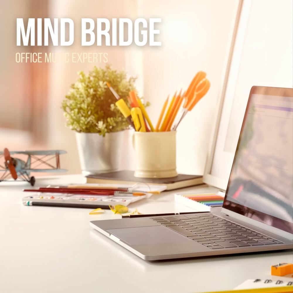 Релиз Mind Bridge: Study & Relax