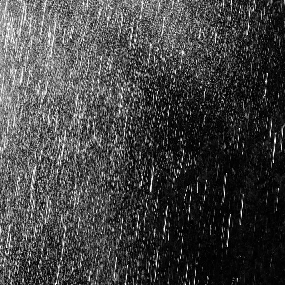 Релиз Water Like the Birds