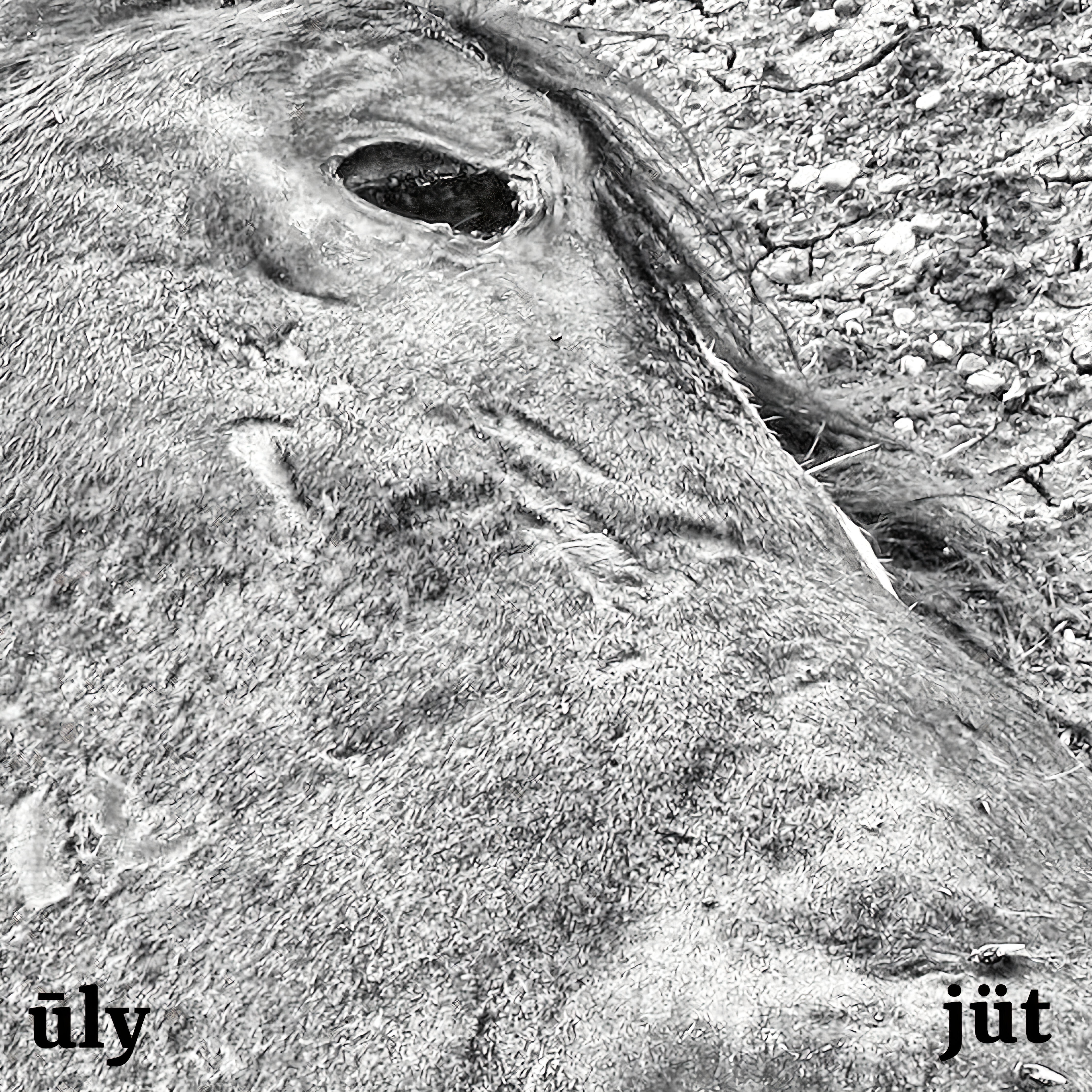 Релиз Ūly J​ū​t