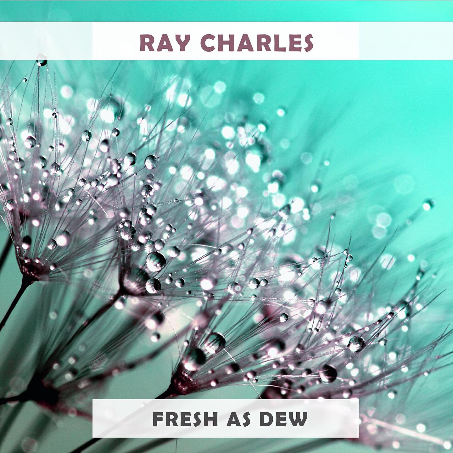 Релиз Fresh As Dew