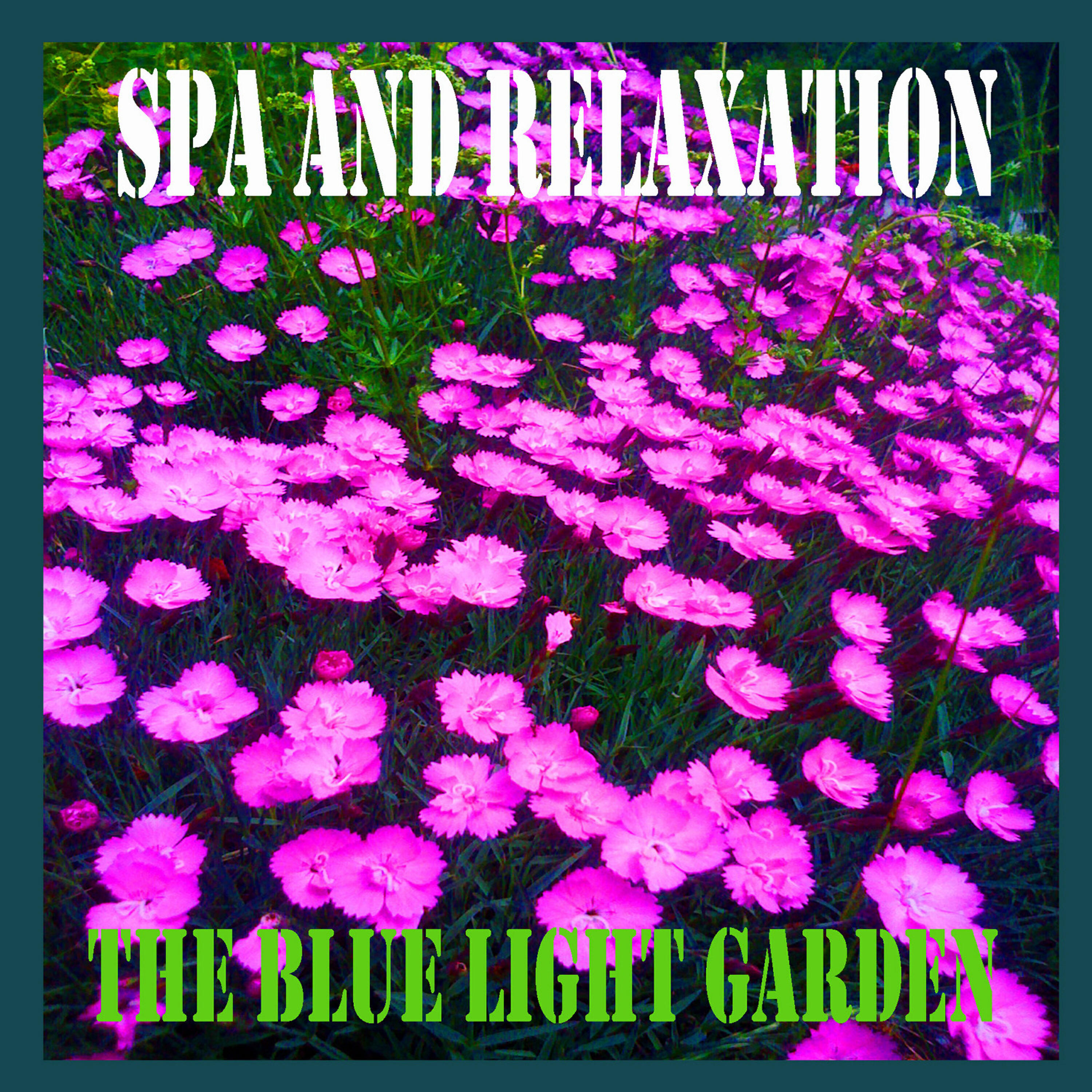 The Blue Light Garden