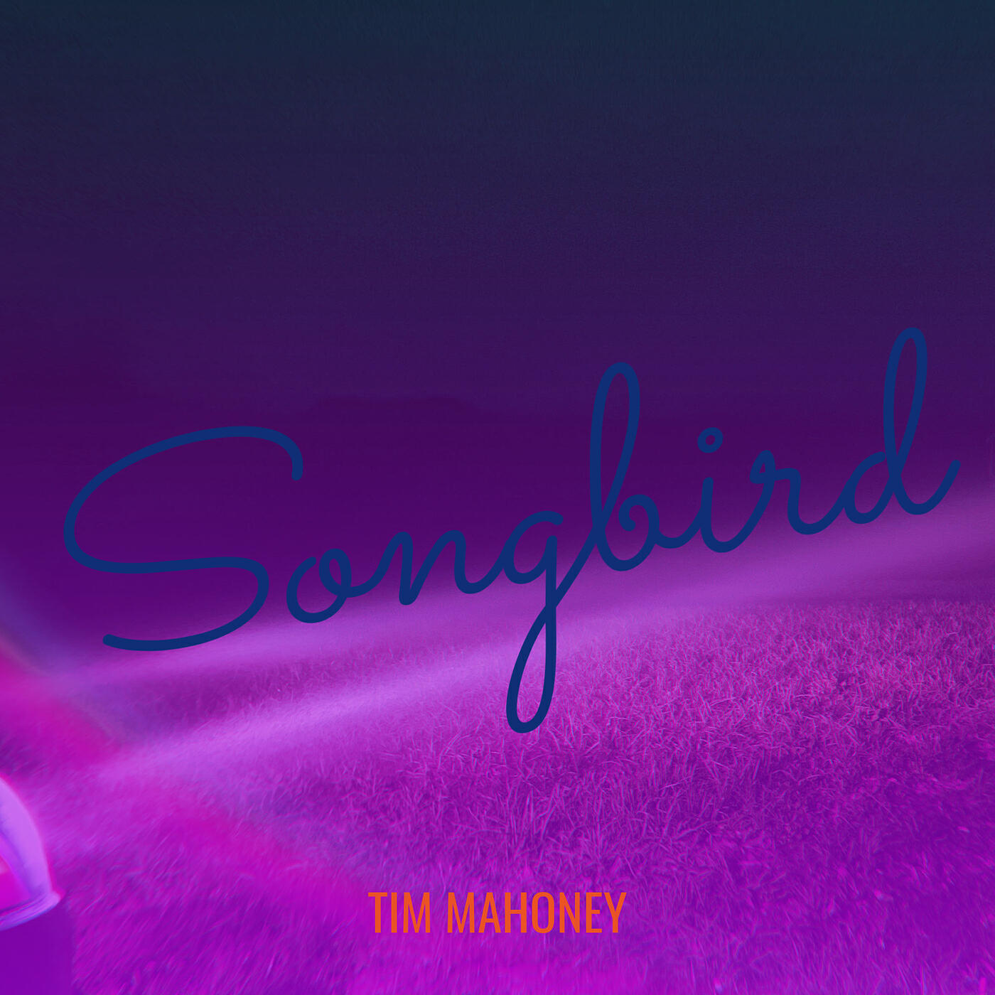 Релиз Songbird