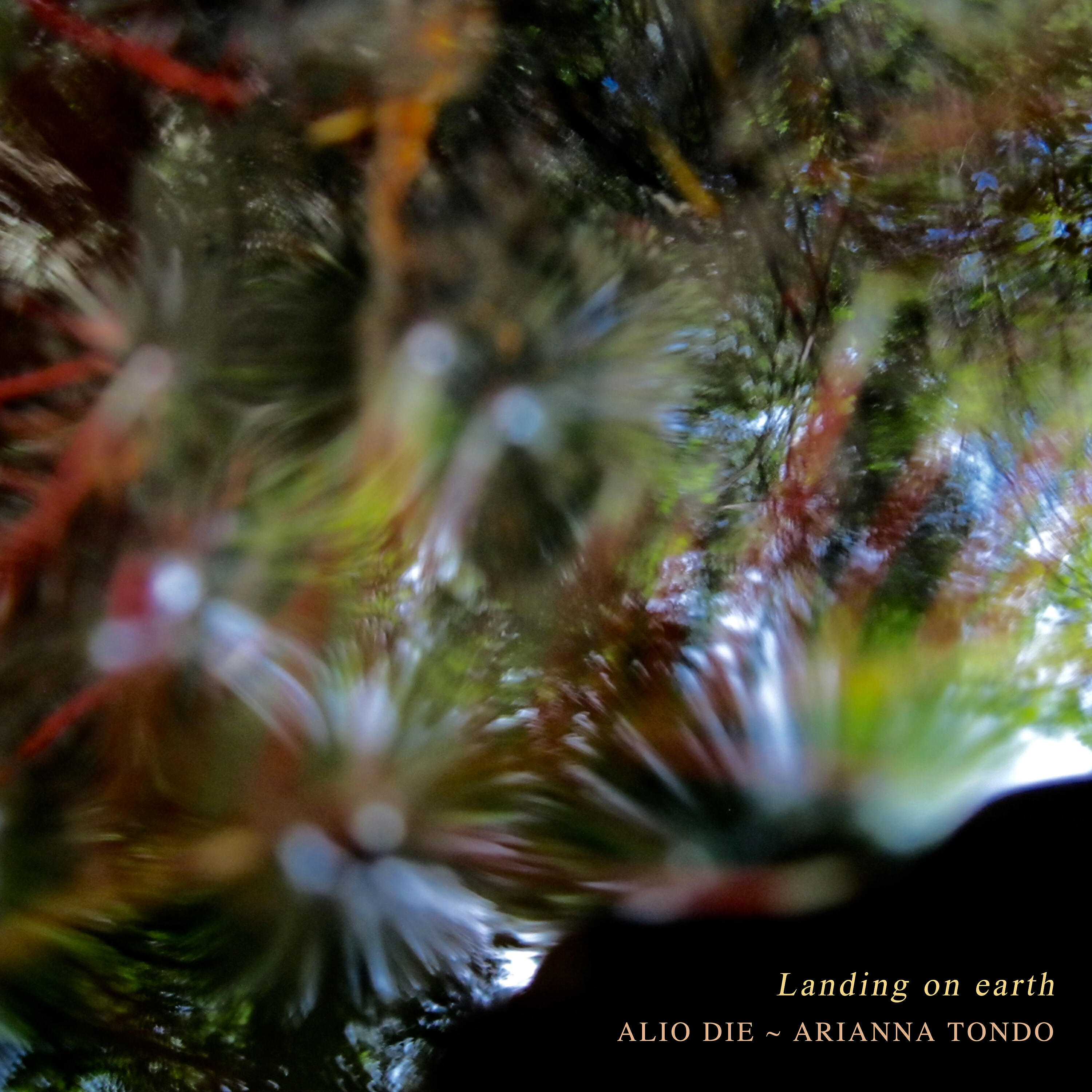 Релиз Landing on Earth