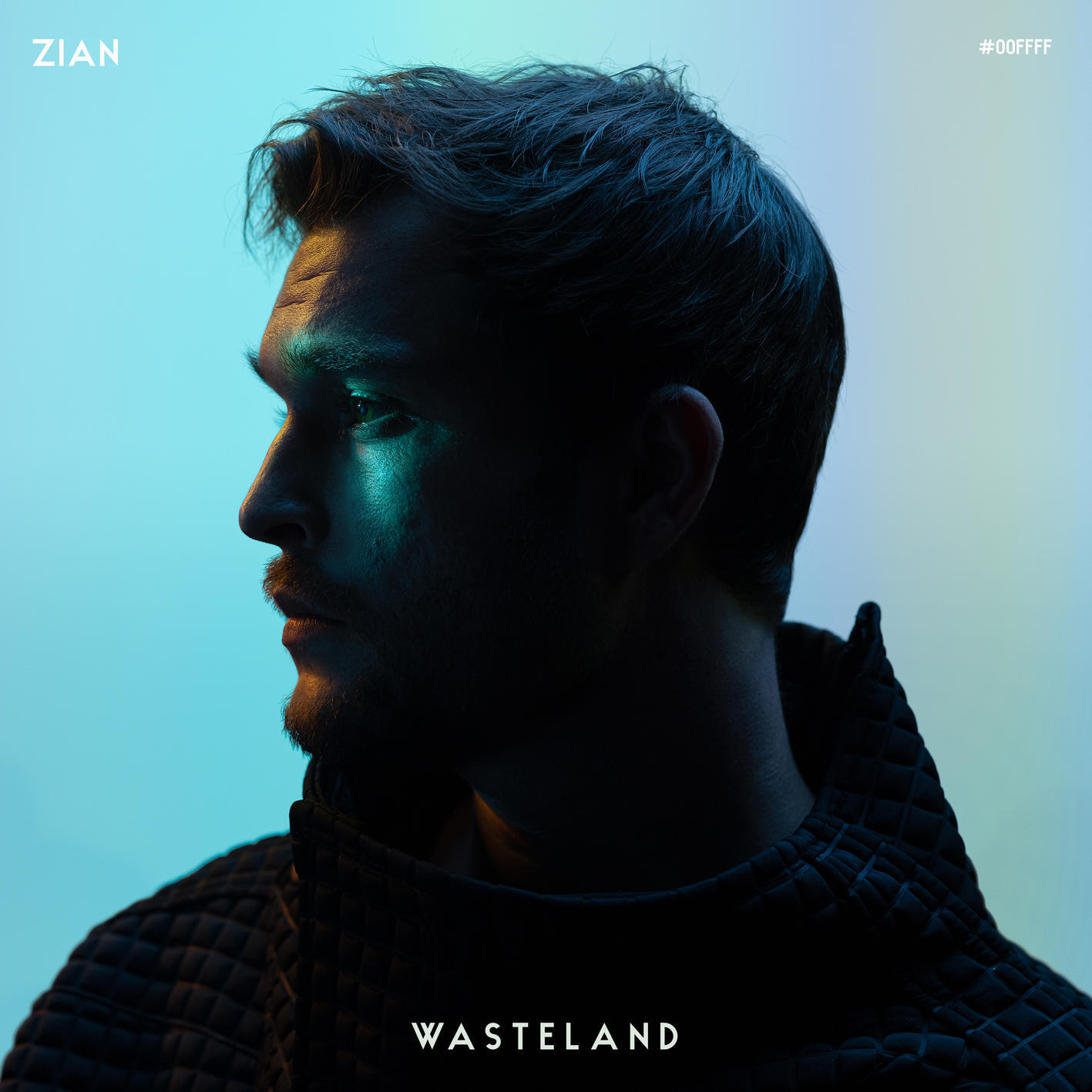 Релиз Wasteland