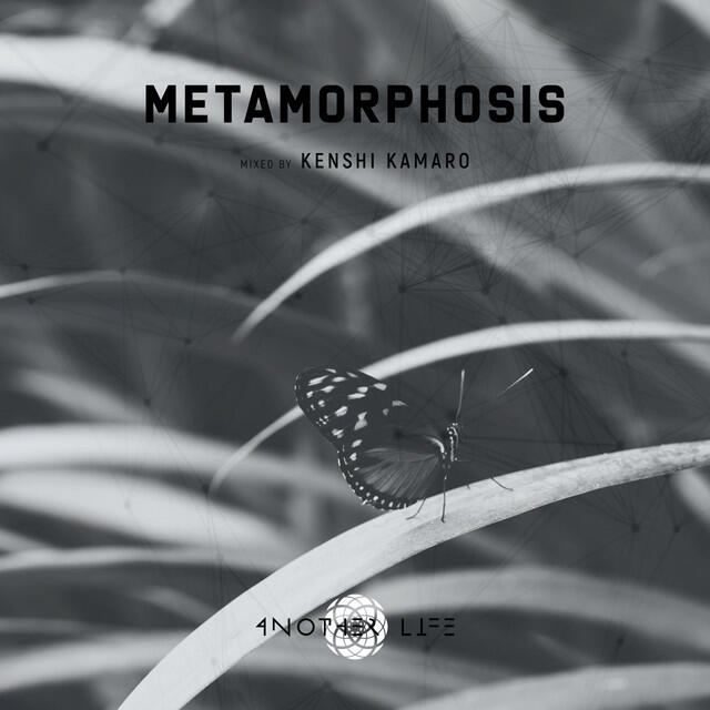 Релиз Metamorphosis (DJ Mix)
