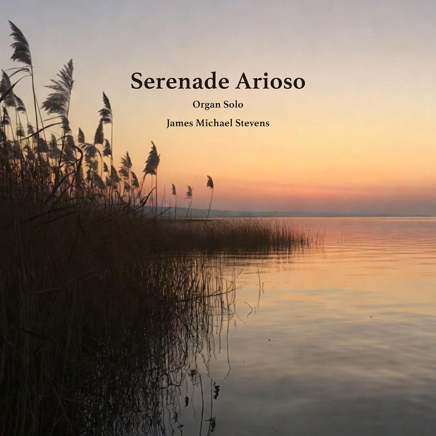 Релиз Serenade Arioso (Organ Solo)