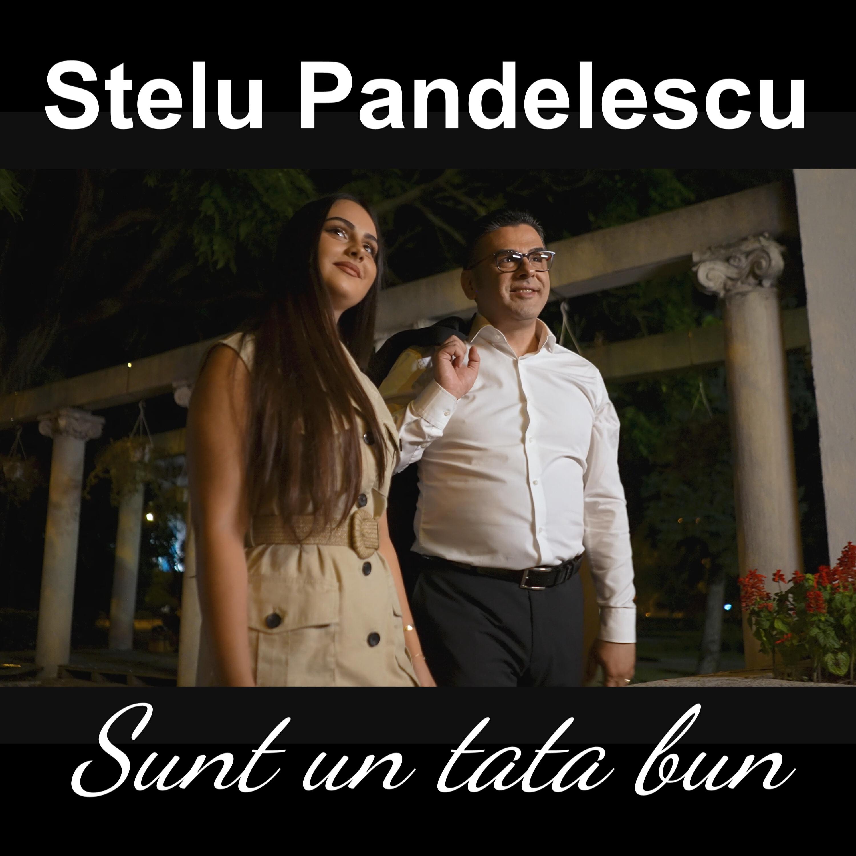 Релиз Sunt un tata bun