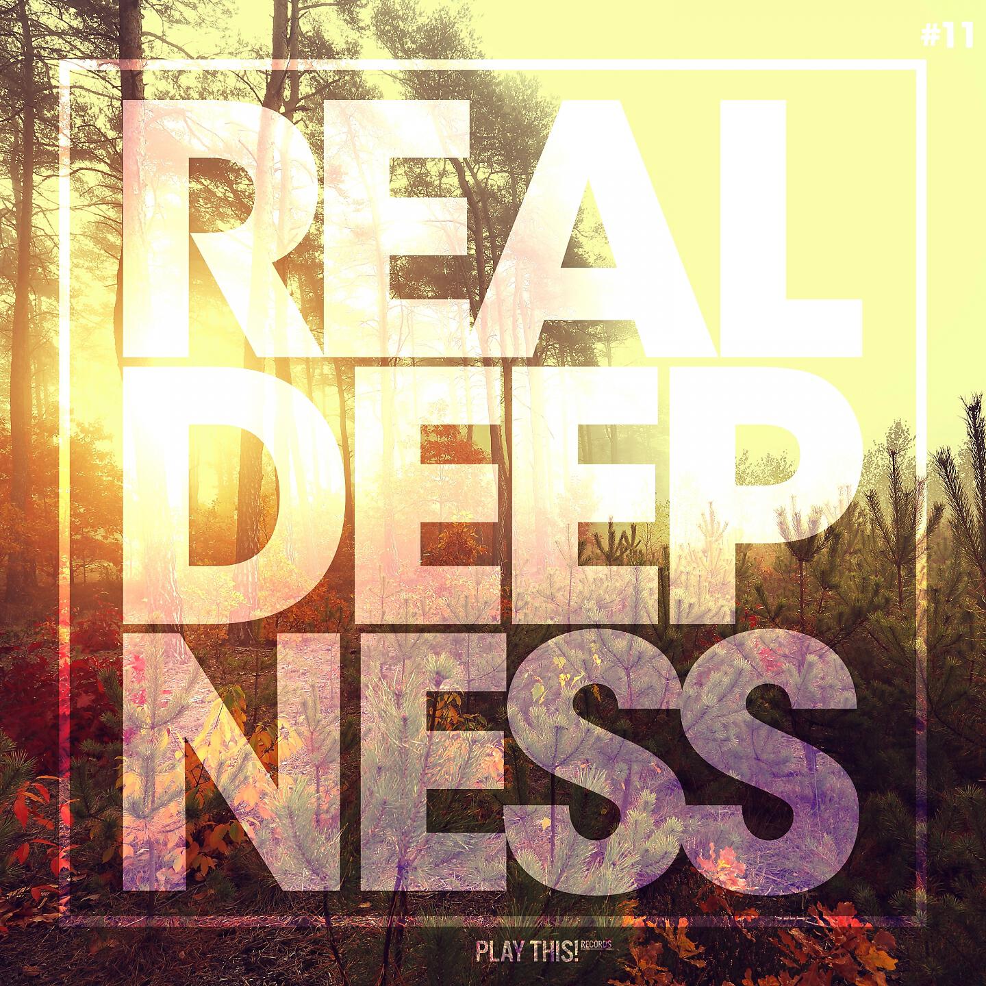 Постер альбома Real Deepness #11