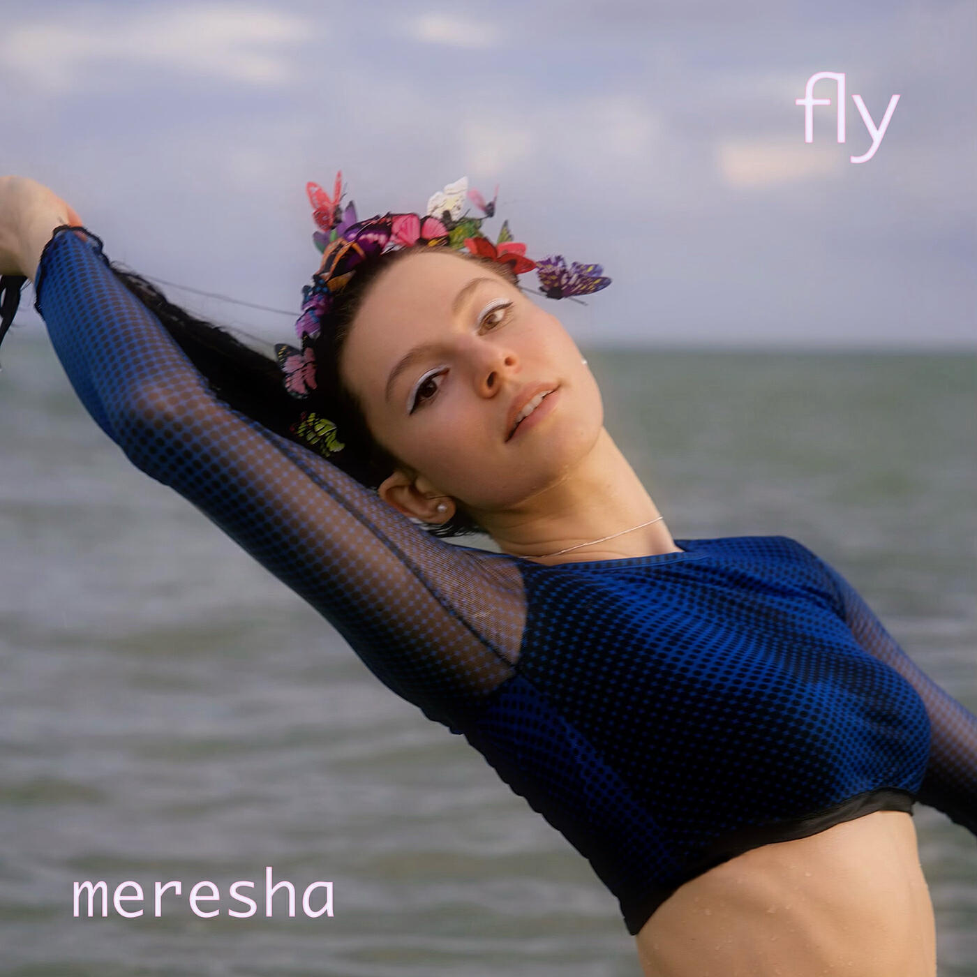 Релиз Fly