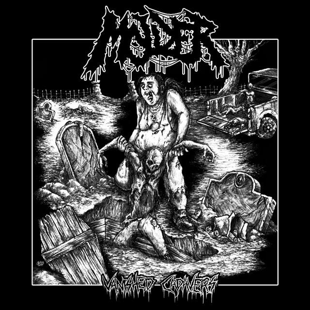 Релиз Vanished Cadavers