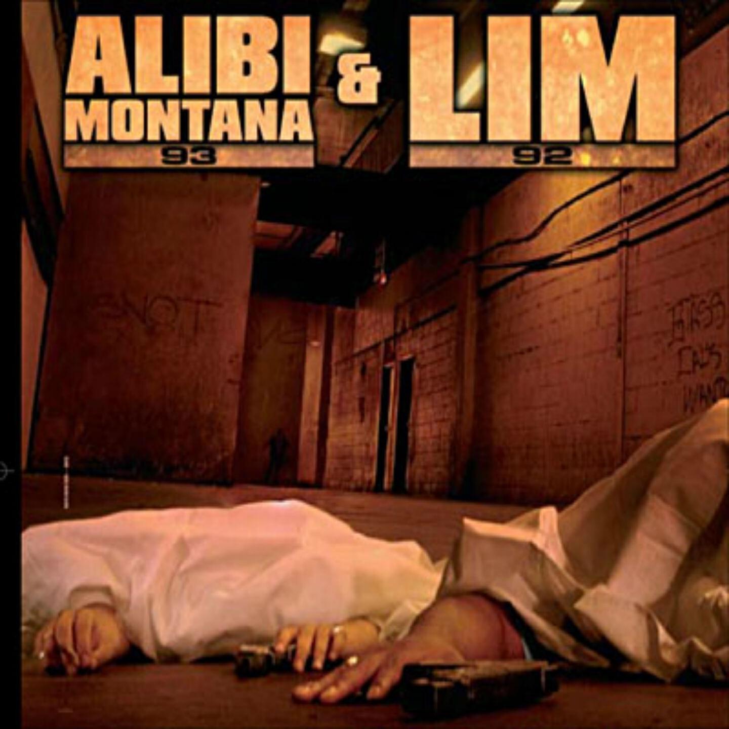 Скачать песню Lim, Alibi Montana - Ils nous veulent quoi ? бесплатно в MP3 для Android и iOS