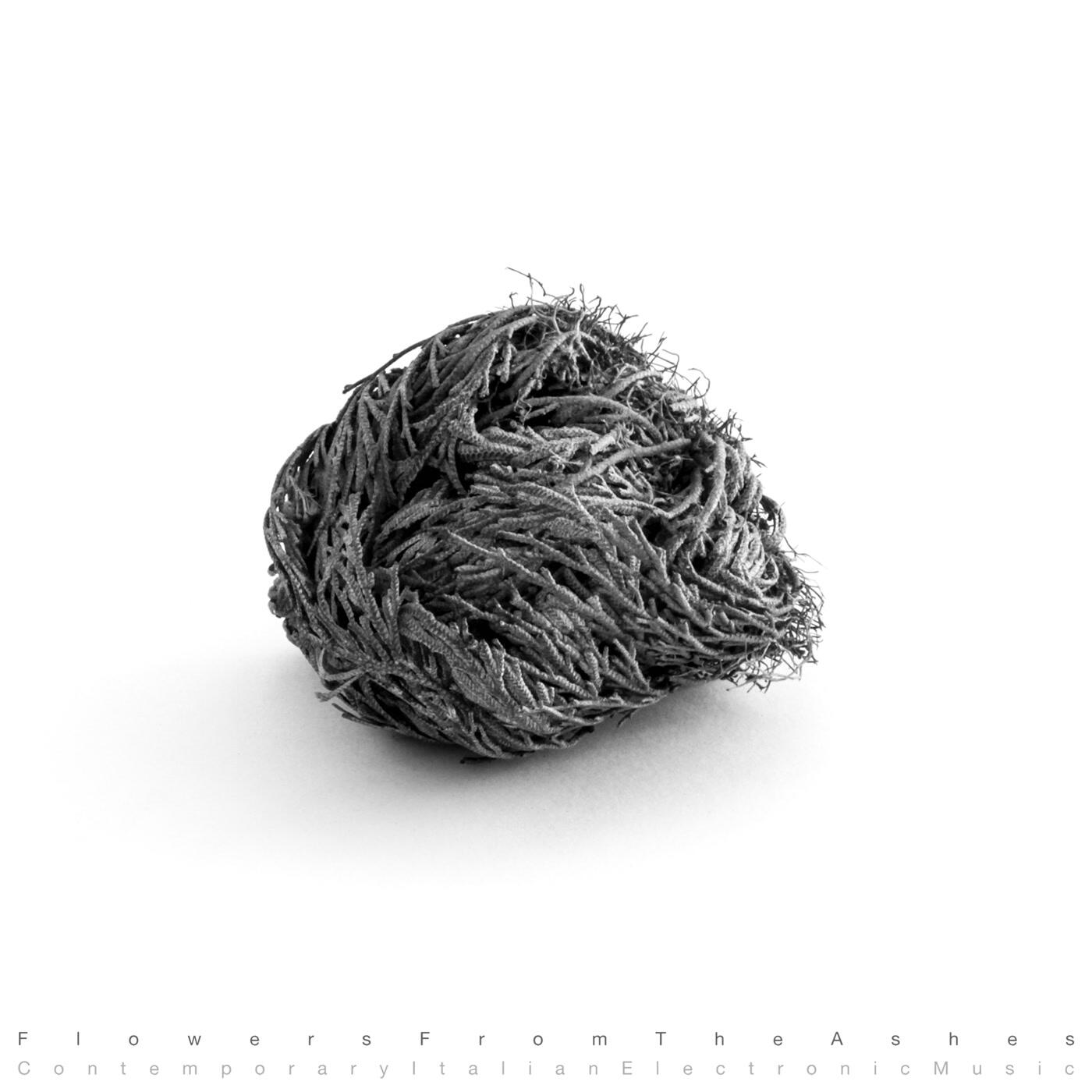 Релиз Flowers from the Ashes: Contemporary Italian Electronic Music