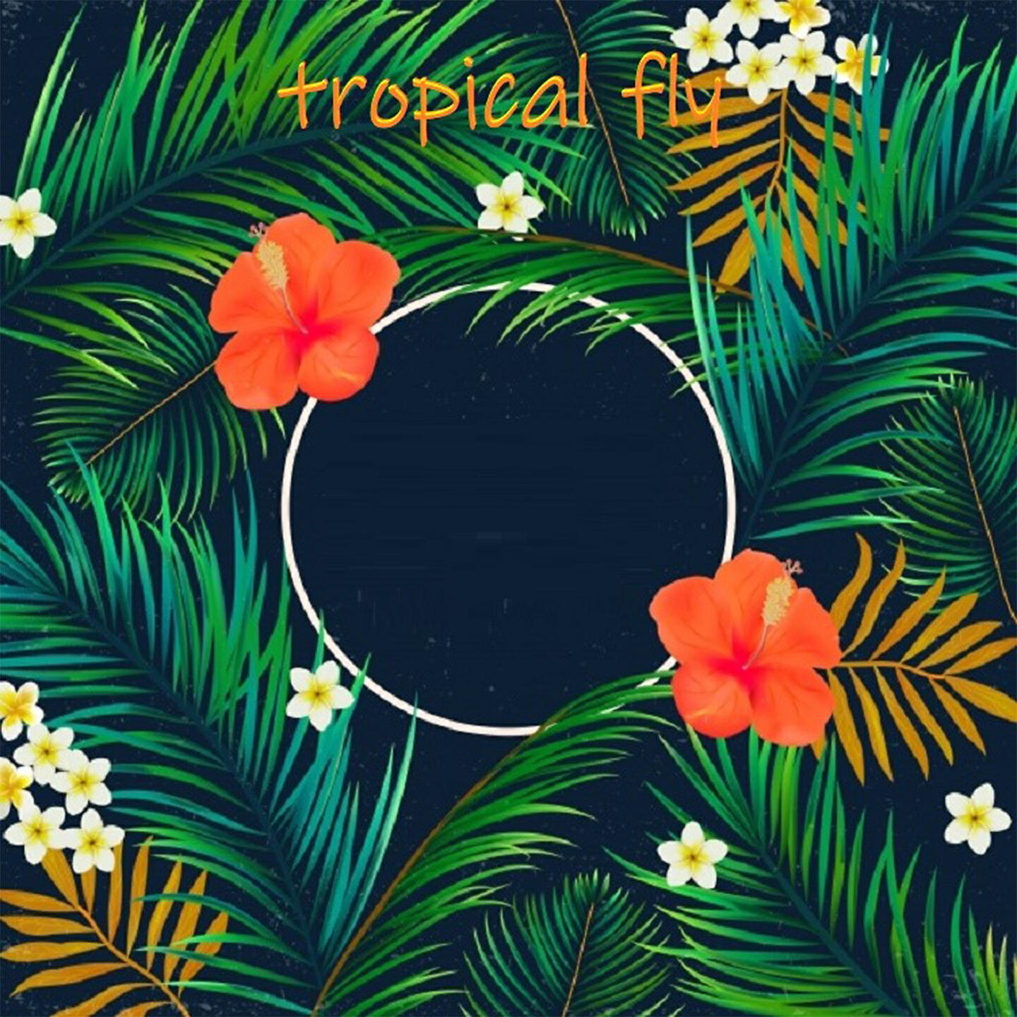 Релиз Tropical Fly