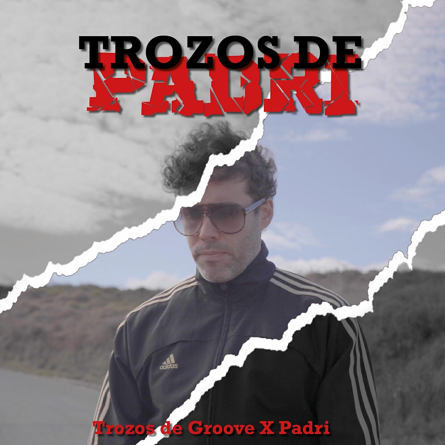 Релиз Trozos de Padri