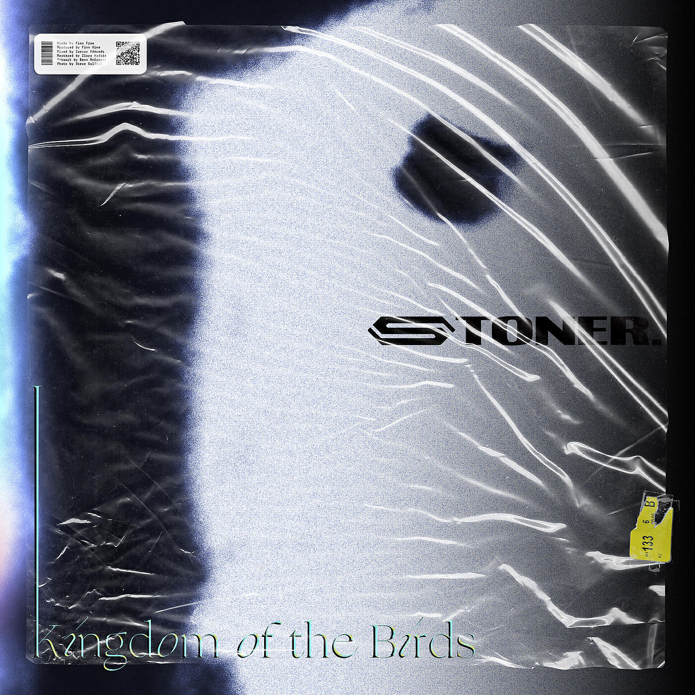 Релиз Kingdom Of The Birds