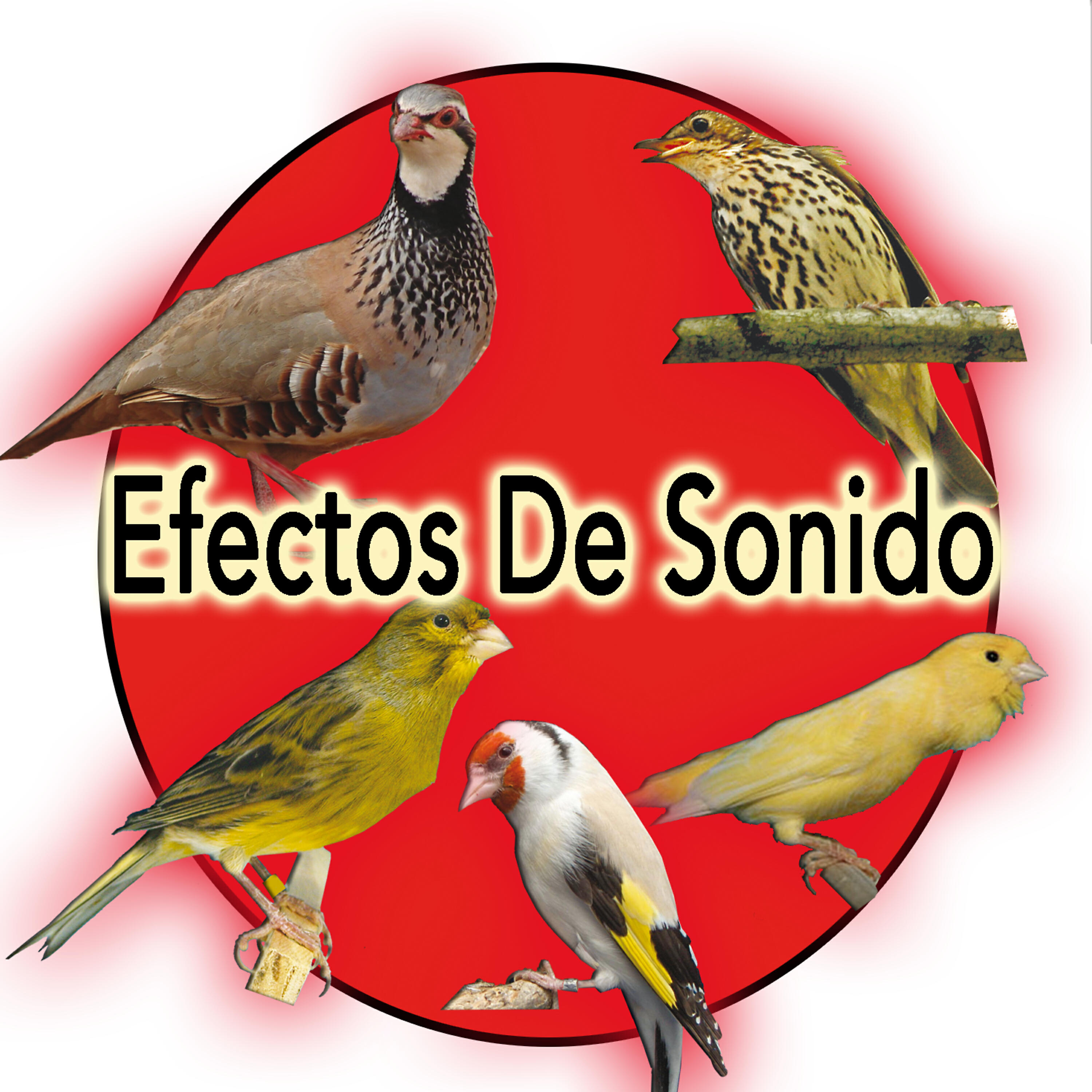 Релиз Efectos De Sonido Naturaleza:  Perdiz, Canario, Jilguero, Tordo, Roller