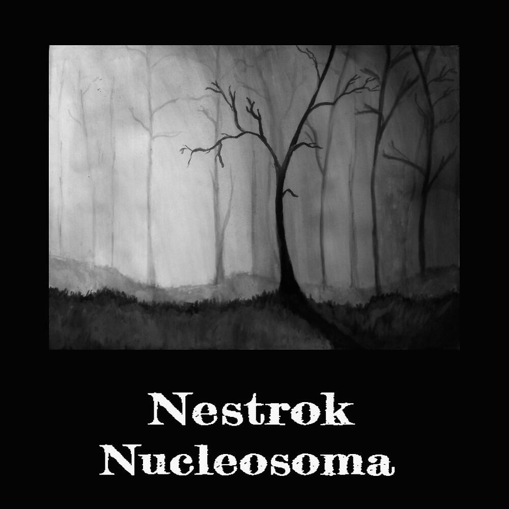 Релиз Nucleosoma