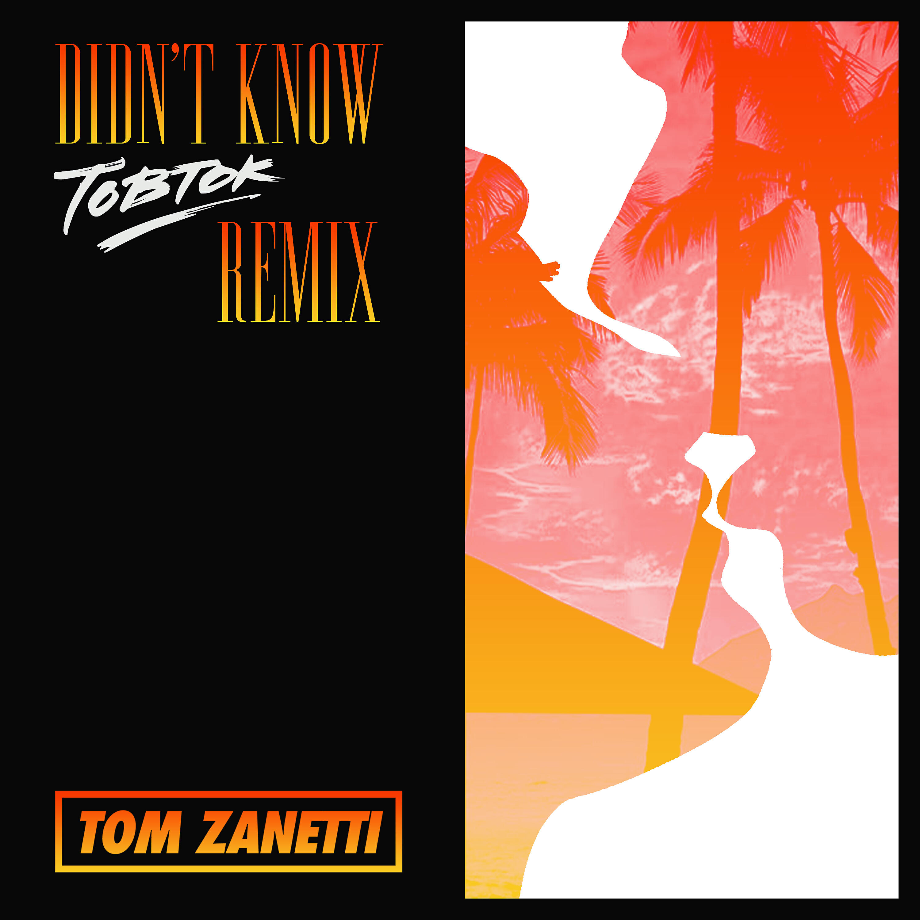 Постер альбома Didn't Know (Tobtok Remix)