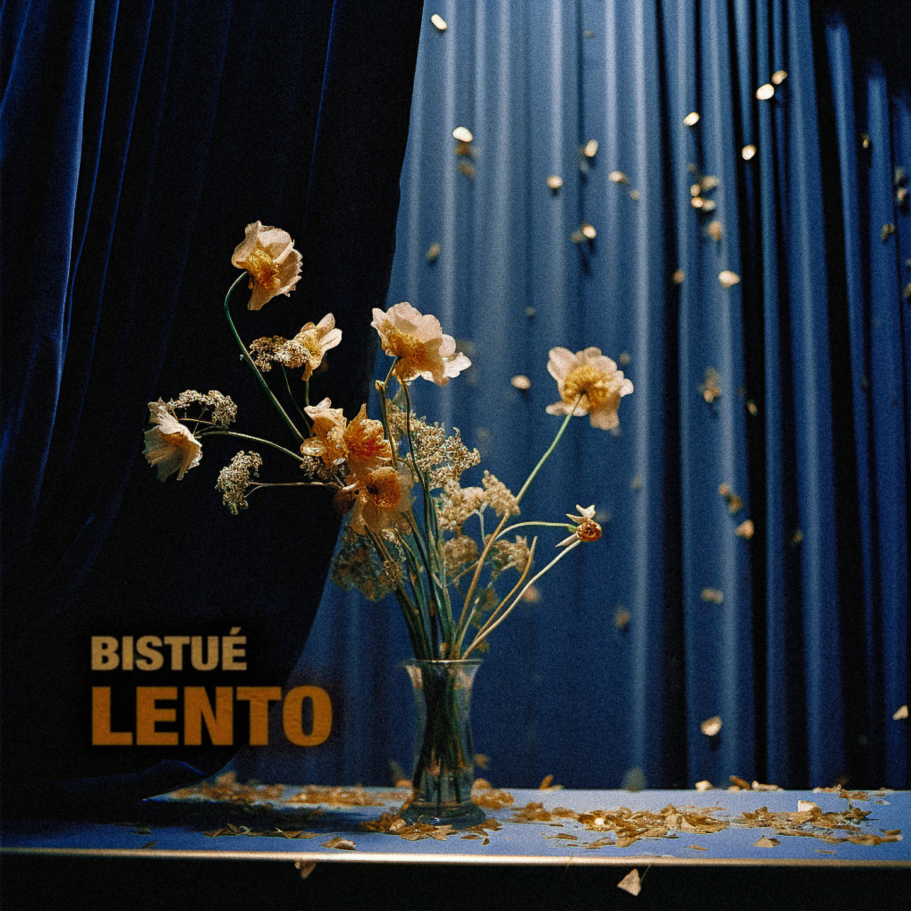 Релиз Lento