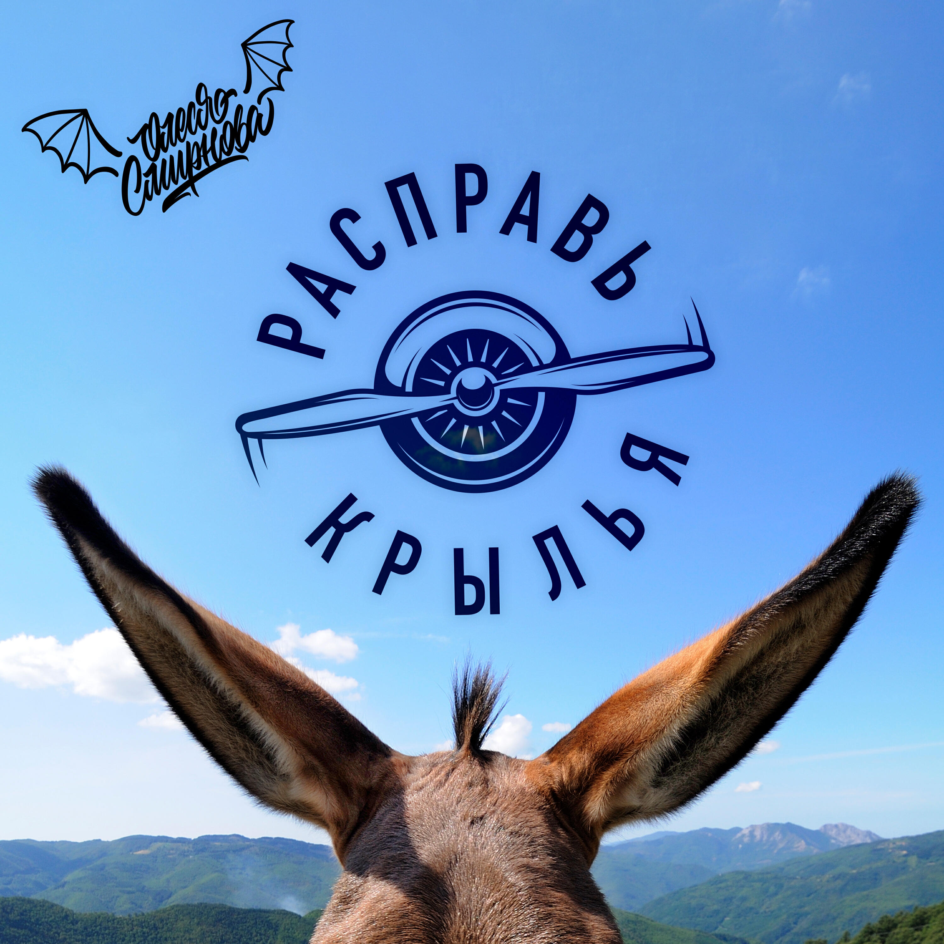 Релиз Расправь крылья