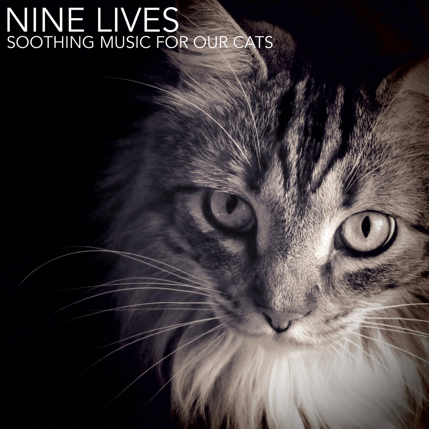 Релиз Nine Lives (Soothing Music for Our Cats)