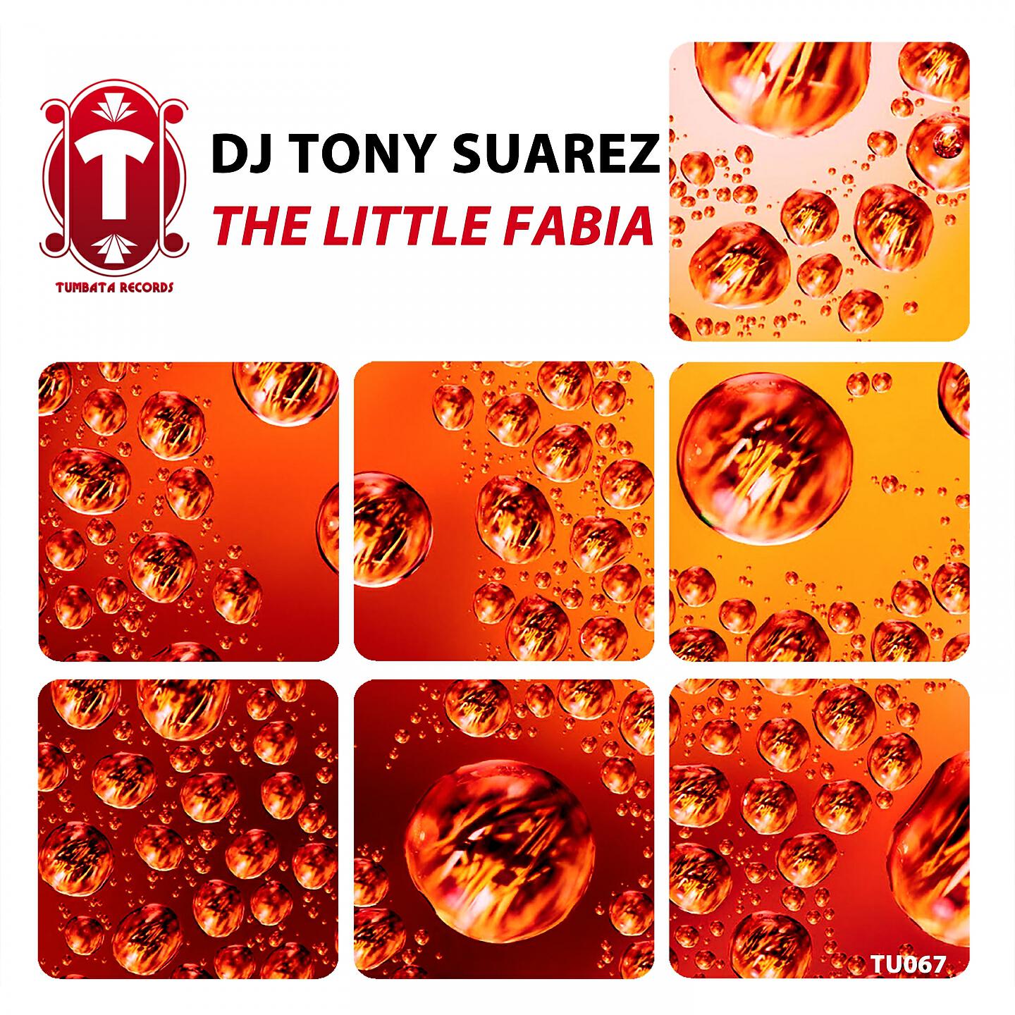 Релиз The Little Fabia