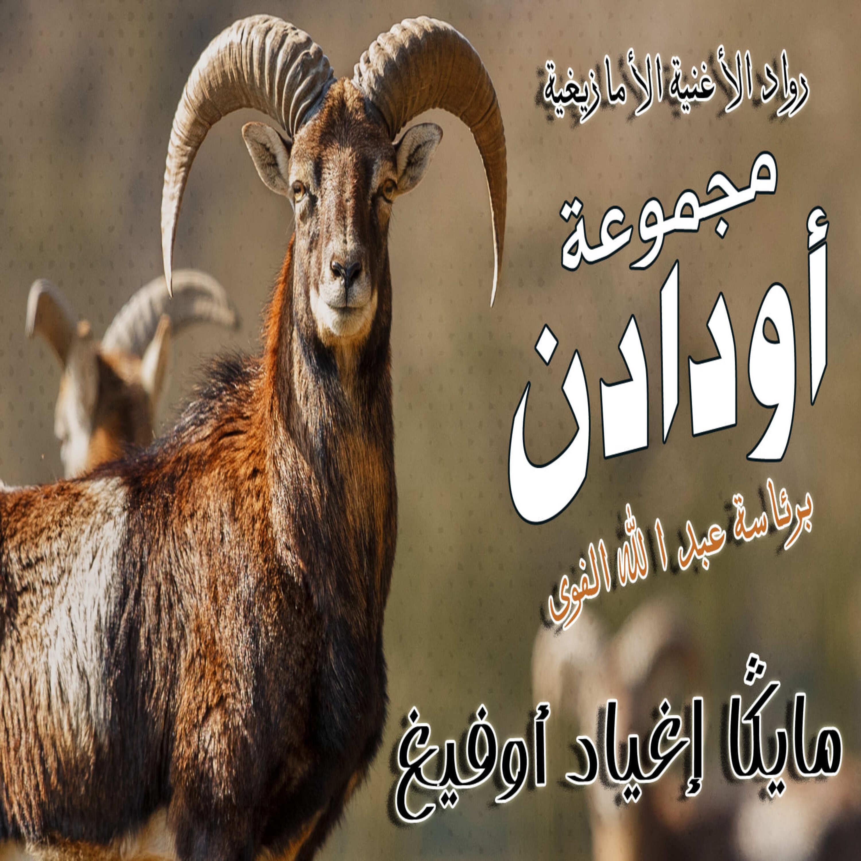 Релиз Mayga Igh Yad Ofigh