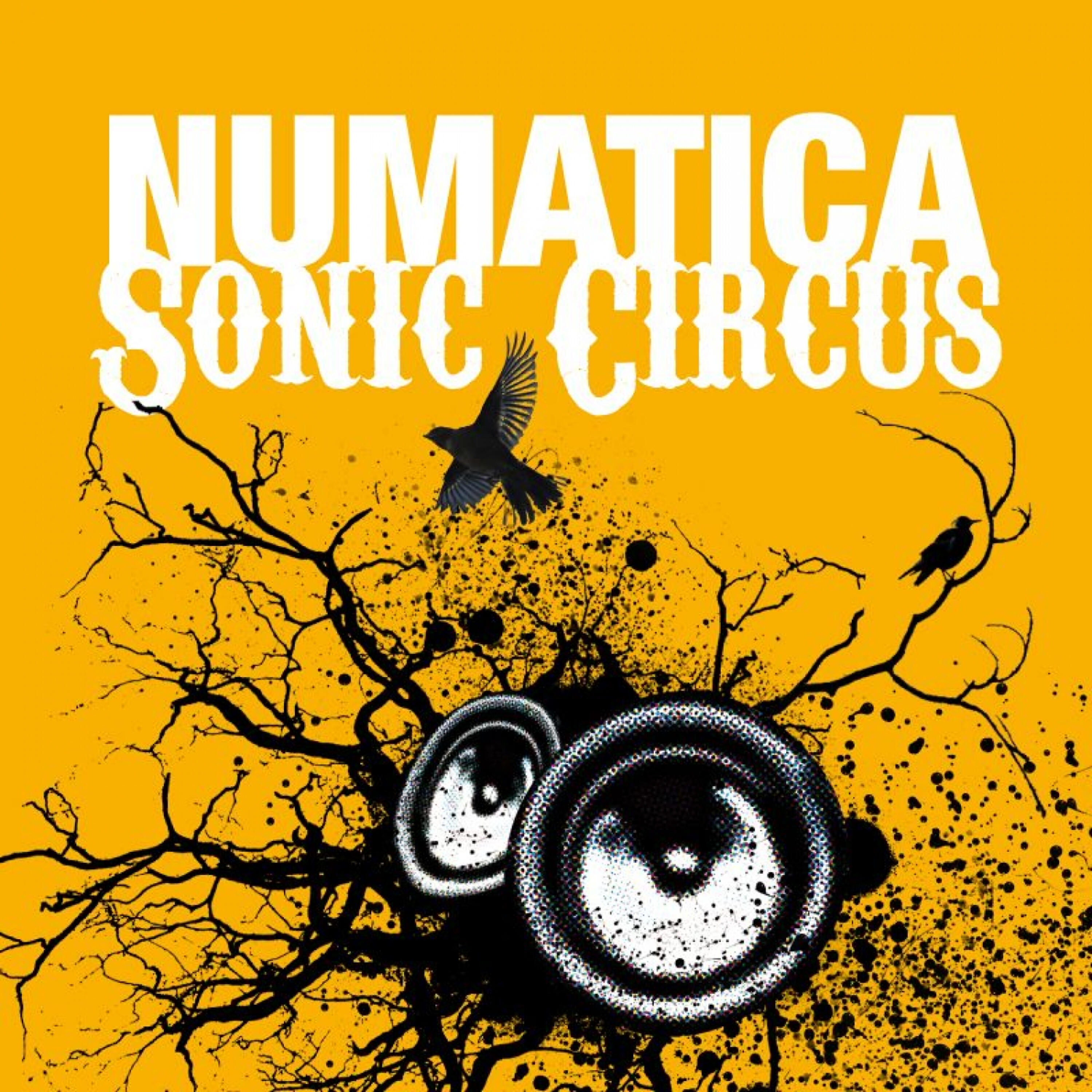 Релиз Sonic Circus