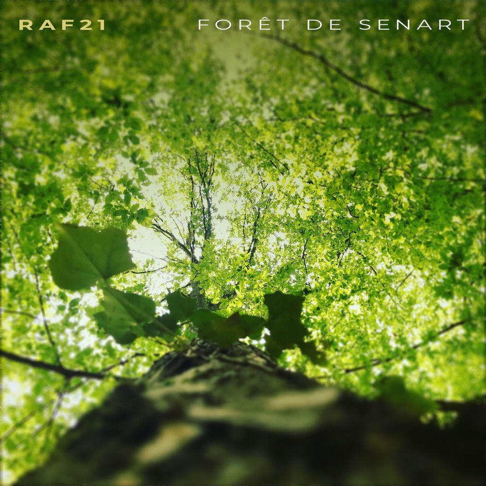 Релиз Forêt de Senart