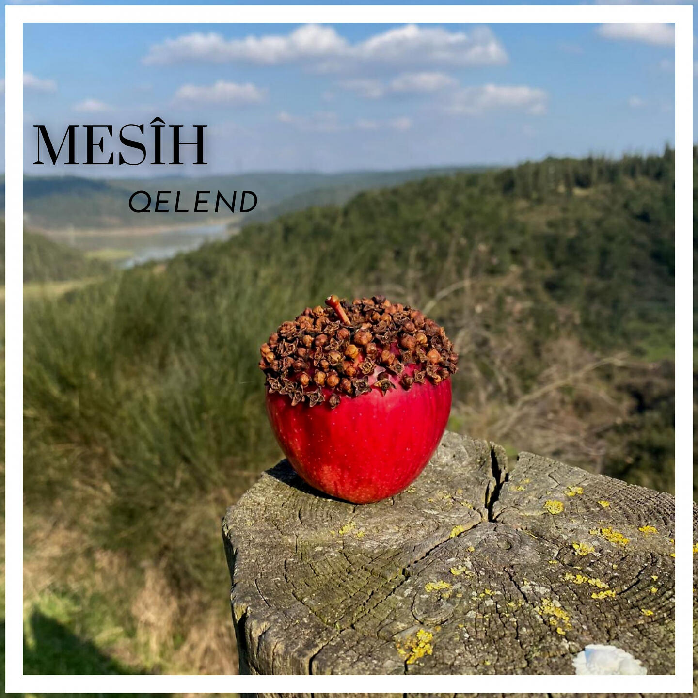 Релиз Qelend