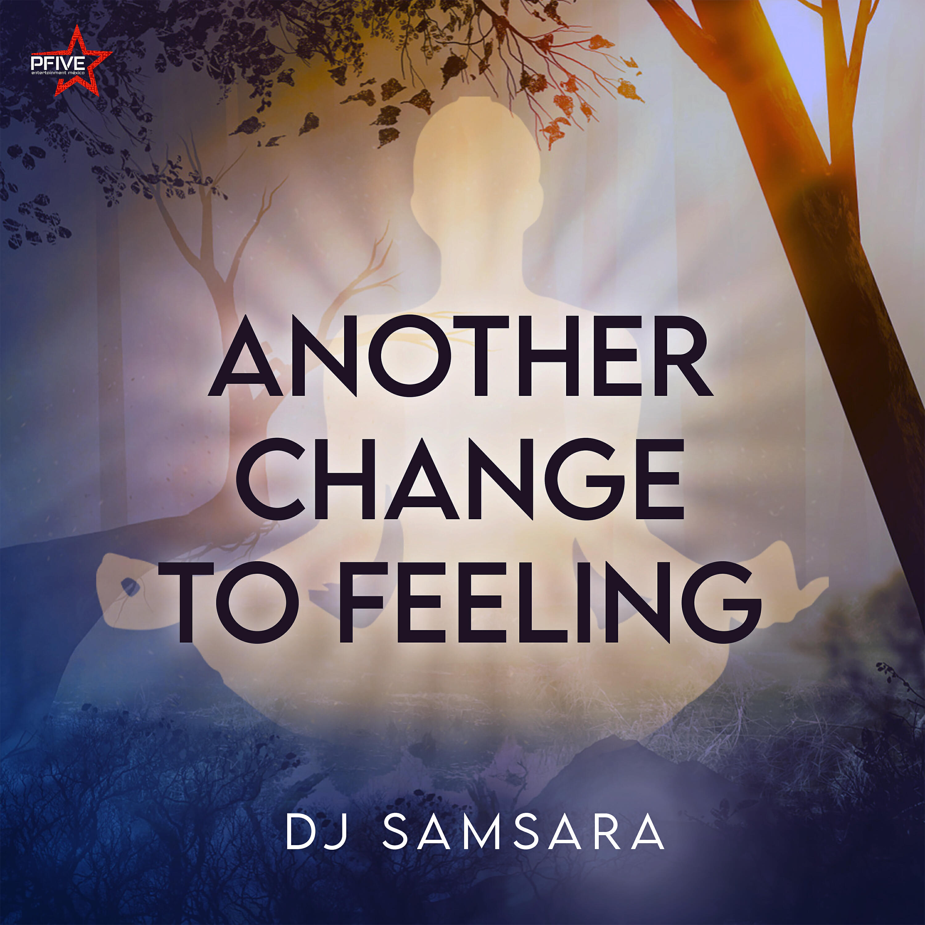 Релиз Another Change To Feeling