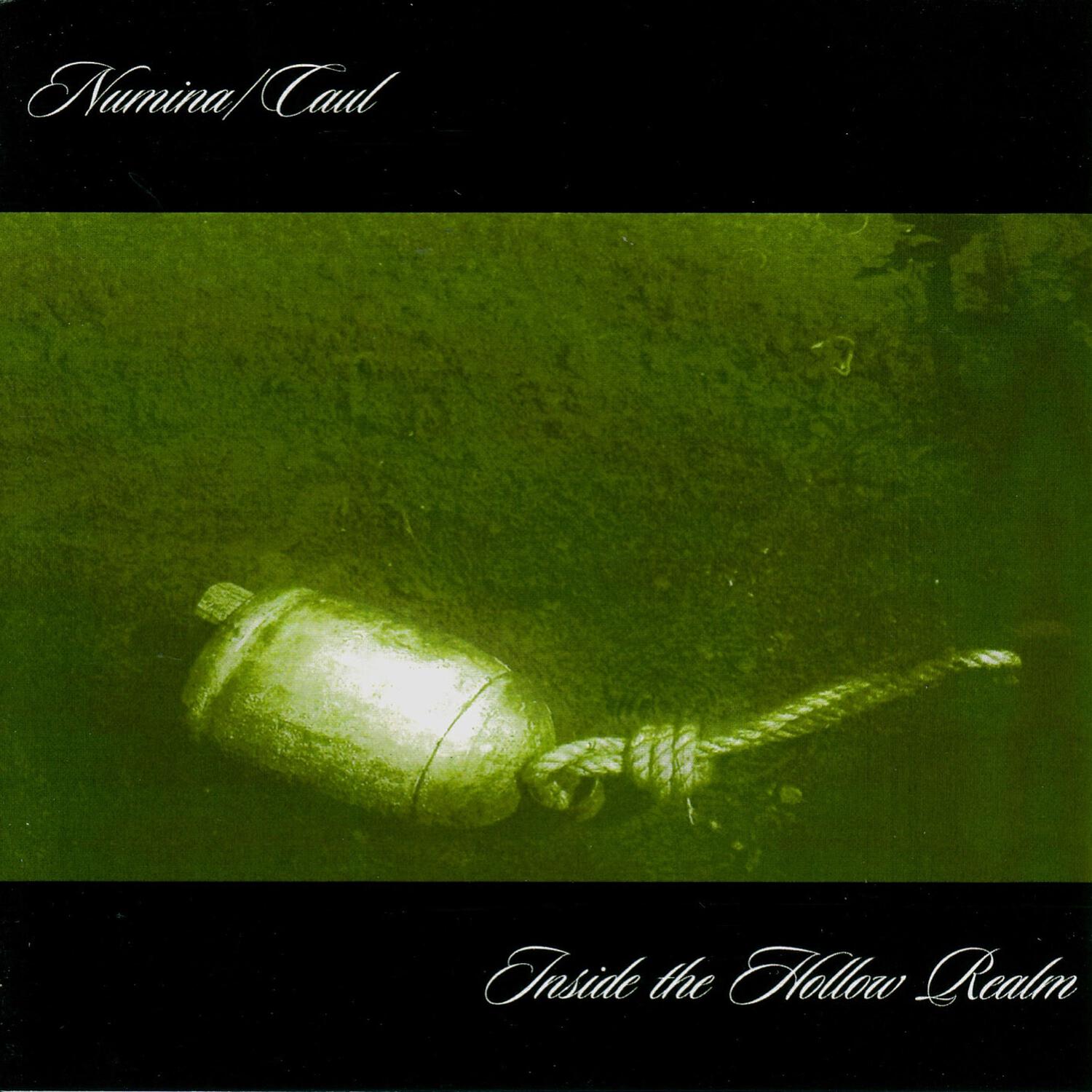 Релиз Inside the Hollow Realm