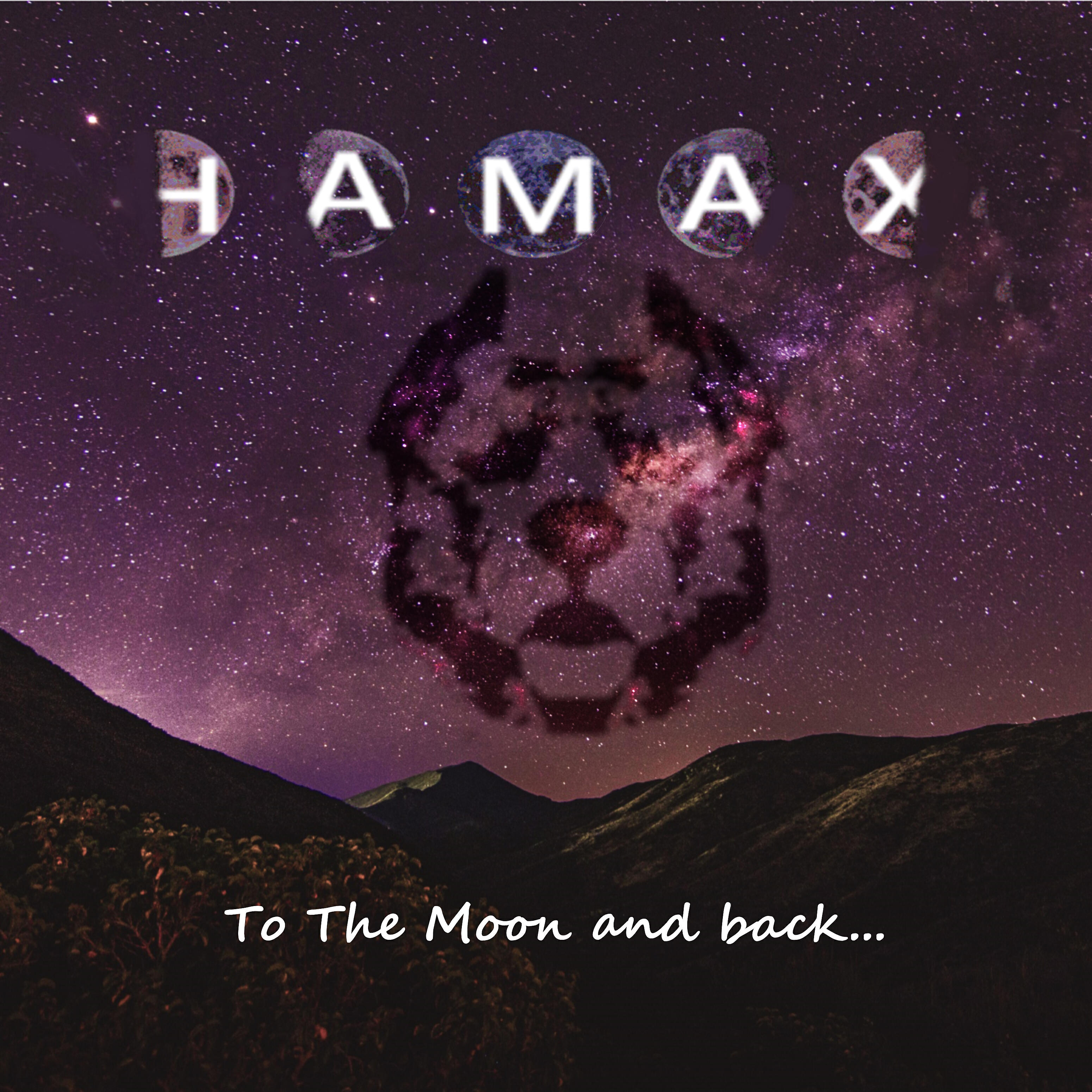 Релиз To the Moon and Back