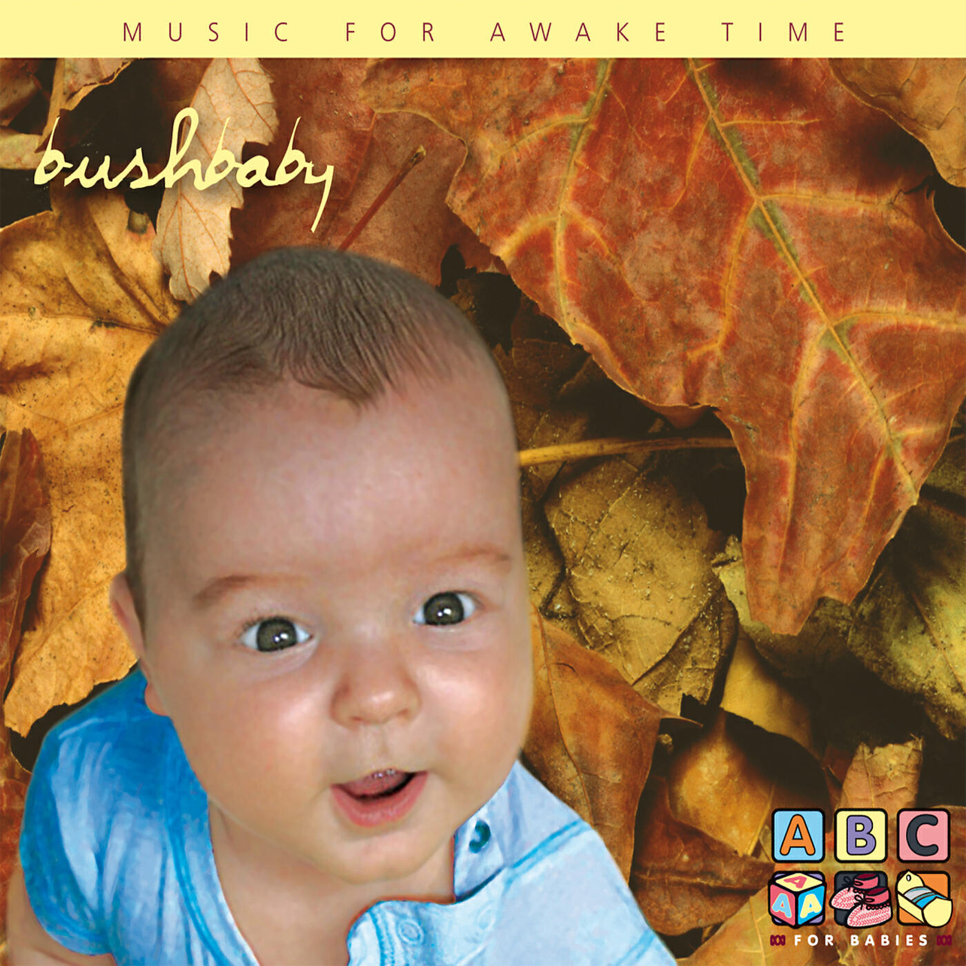 Релиз Bush Baby - Music For Awake Time