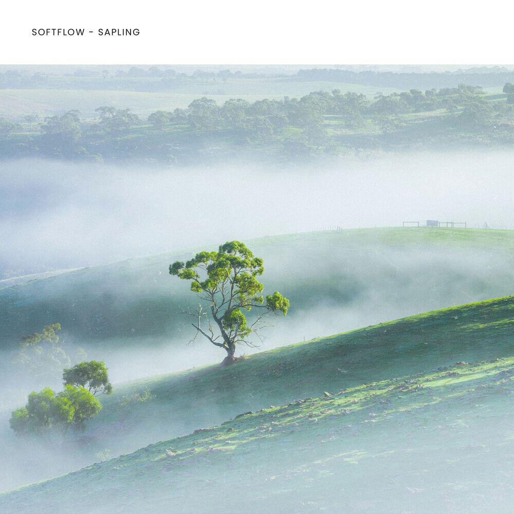 softflow