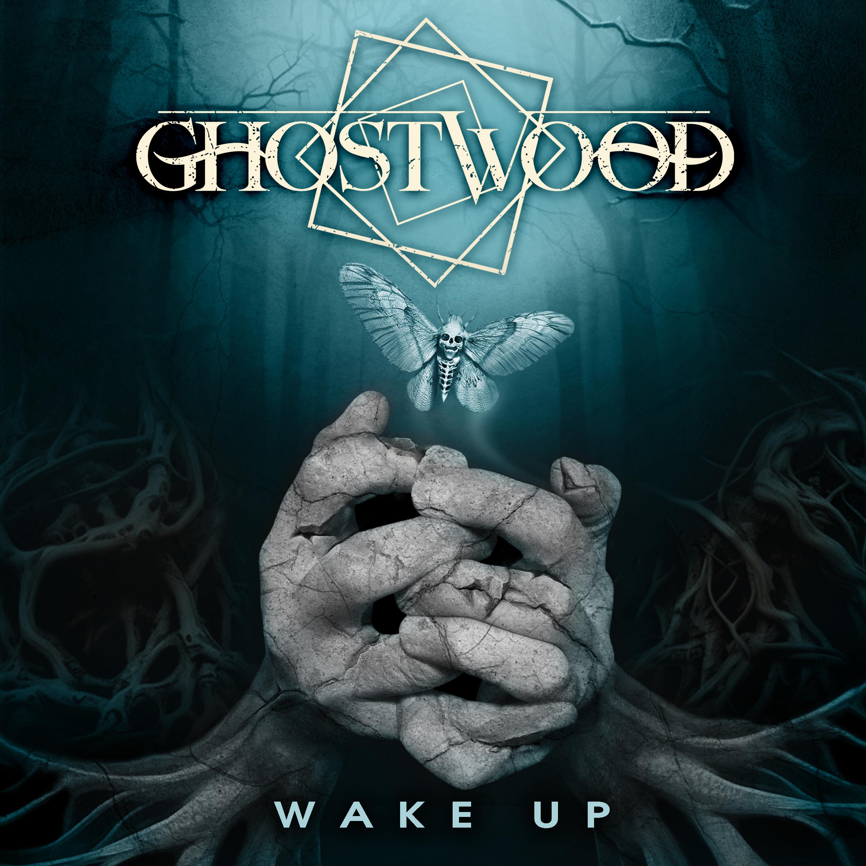 Постер альбома Wake Up