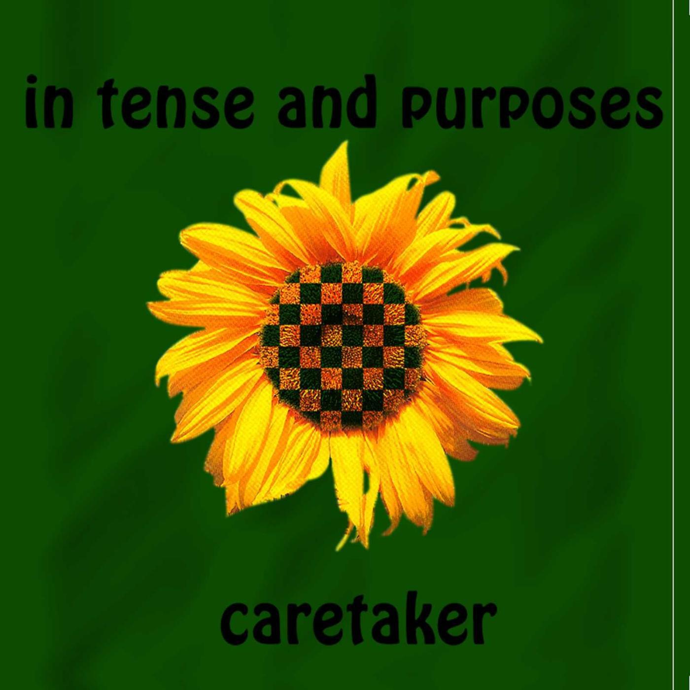 Релиз In Tense and Purposes