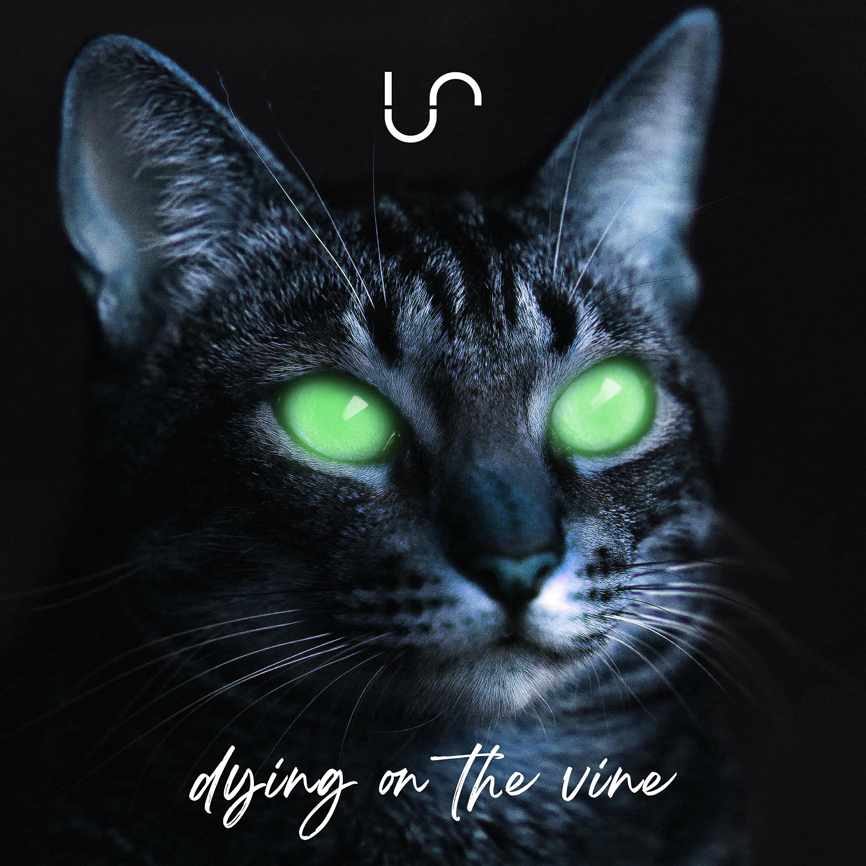 Релиз Dying on the Vine
