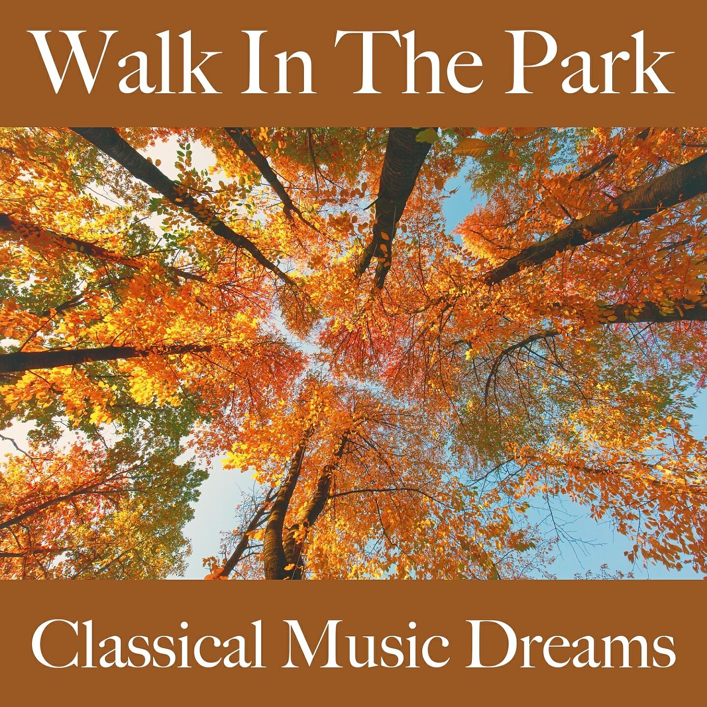 Релиз Walk In The Park: Classical Music Dreams - Die Besten Sounds Zum Workout