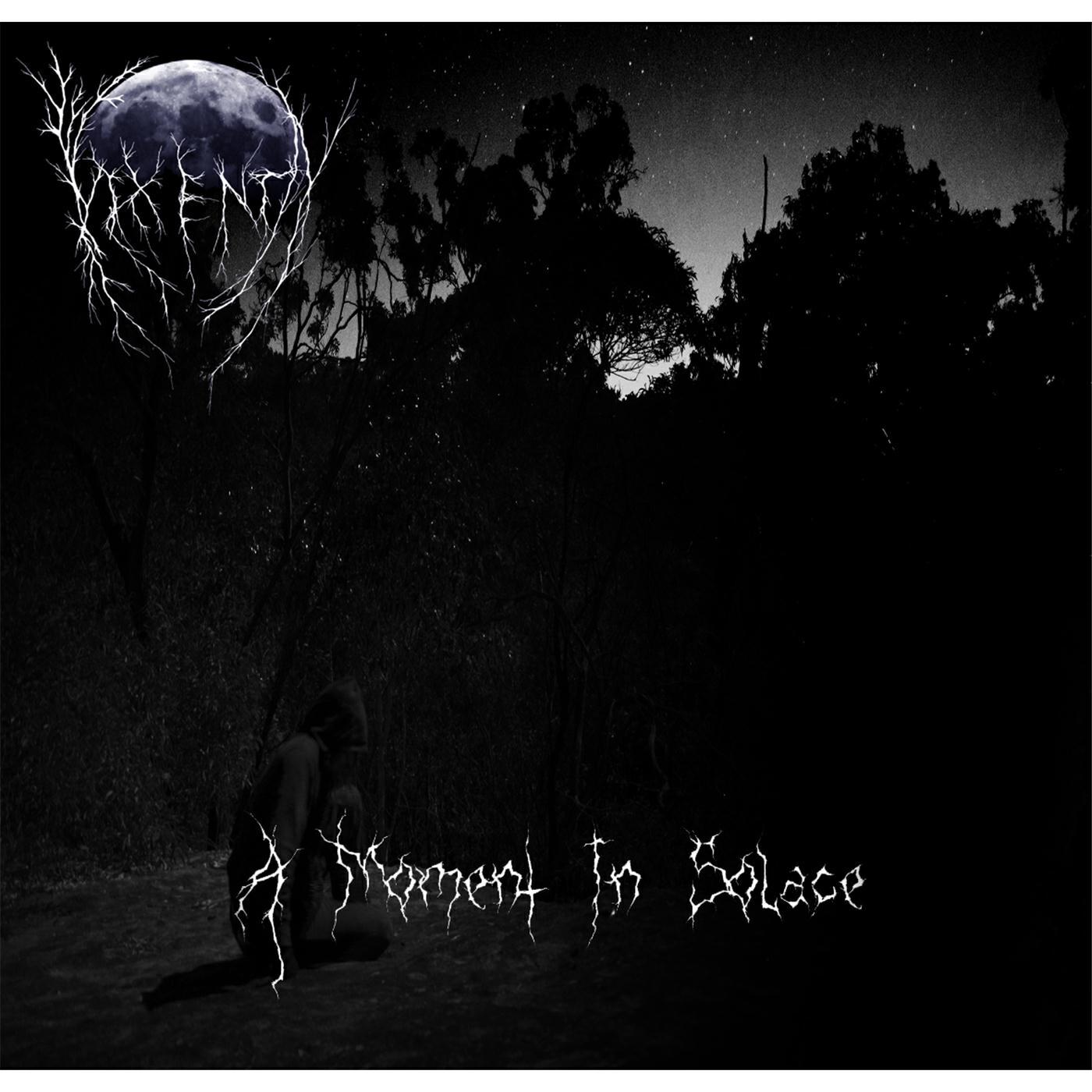 Релиз A Moment in Solace