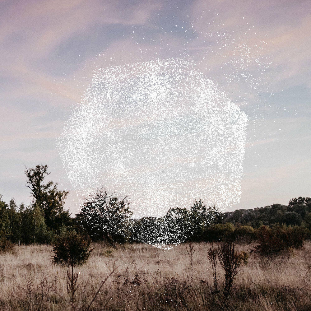 Релиз Reset
