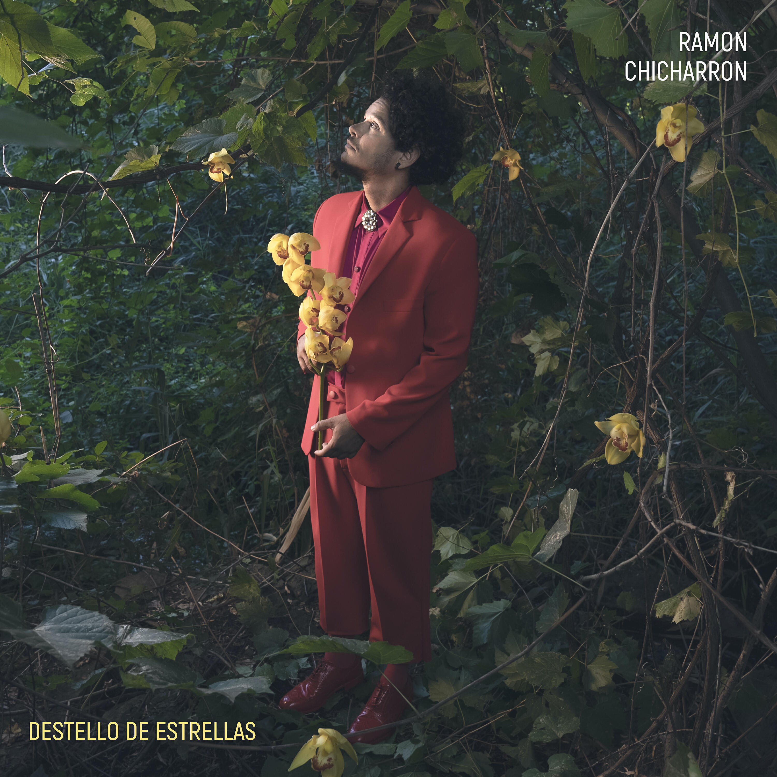 Релиз Destello de estrellas