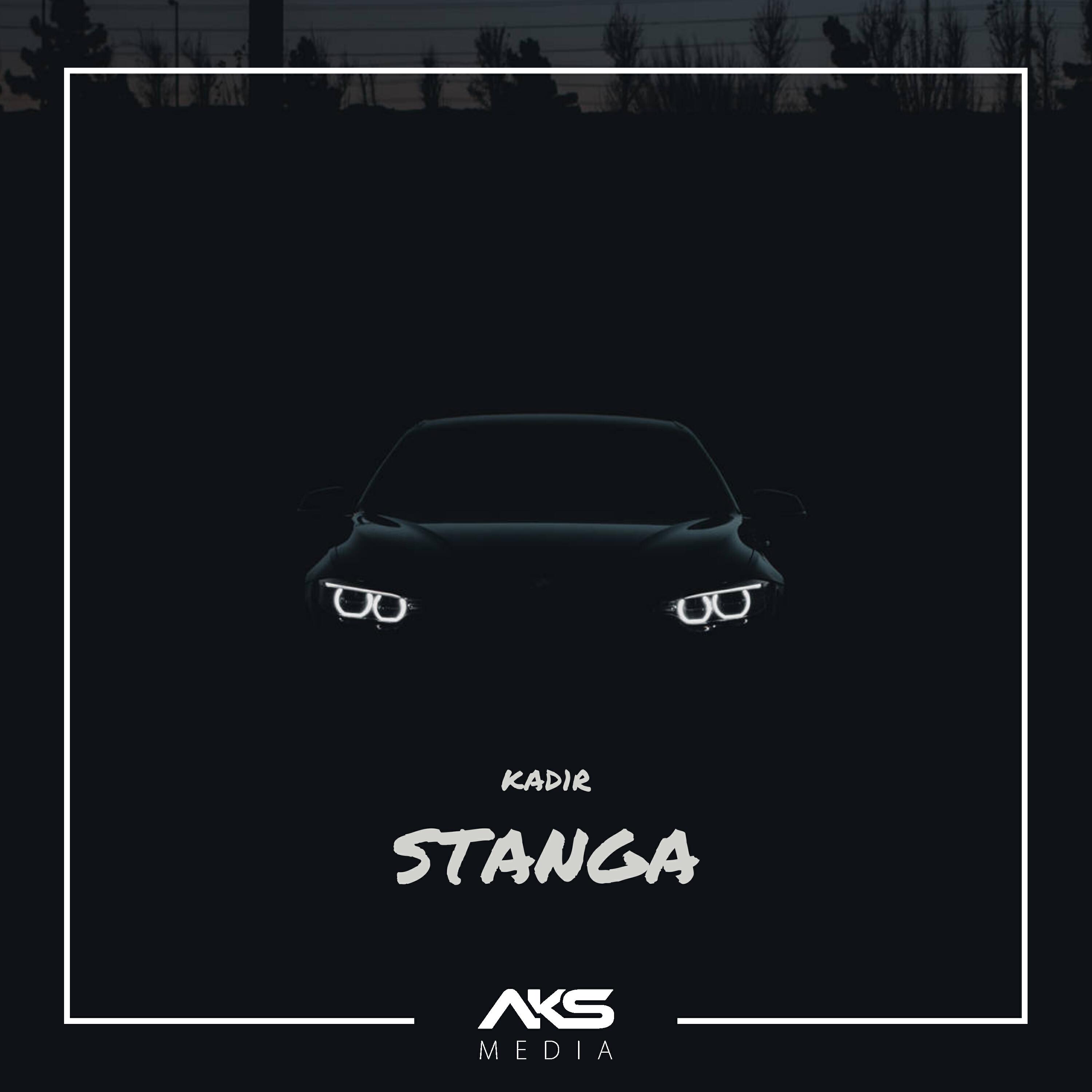 Релиз Stanga