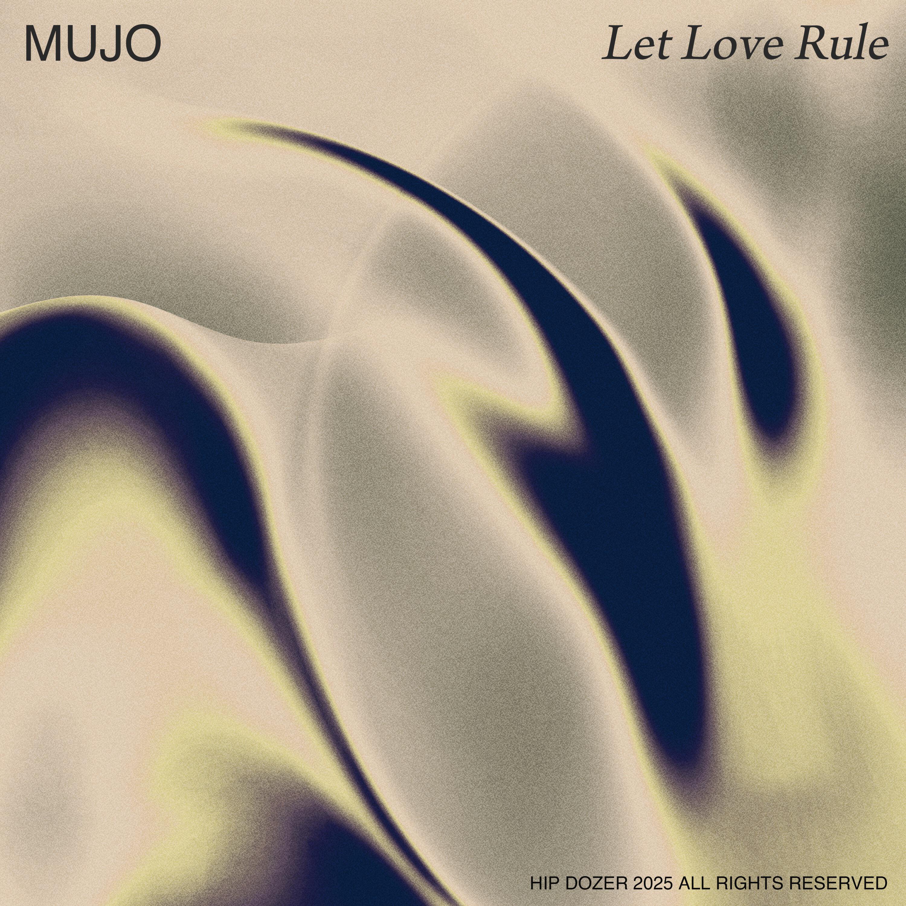 Релиз Let Love Rule
