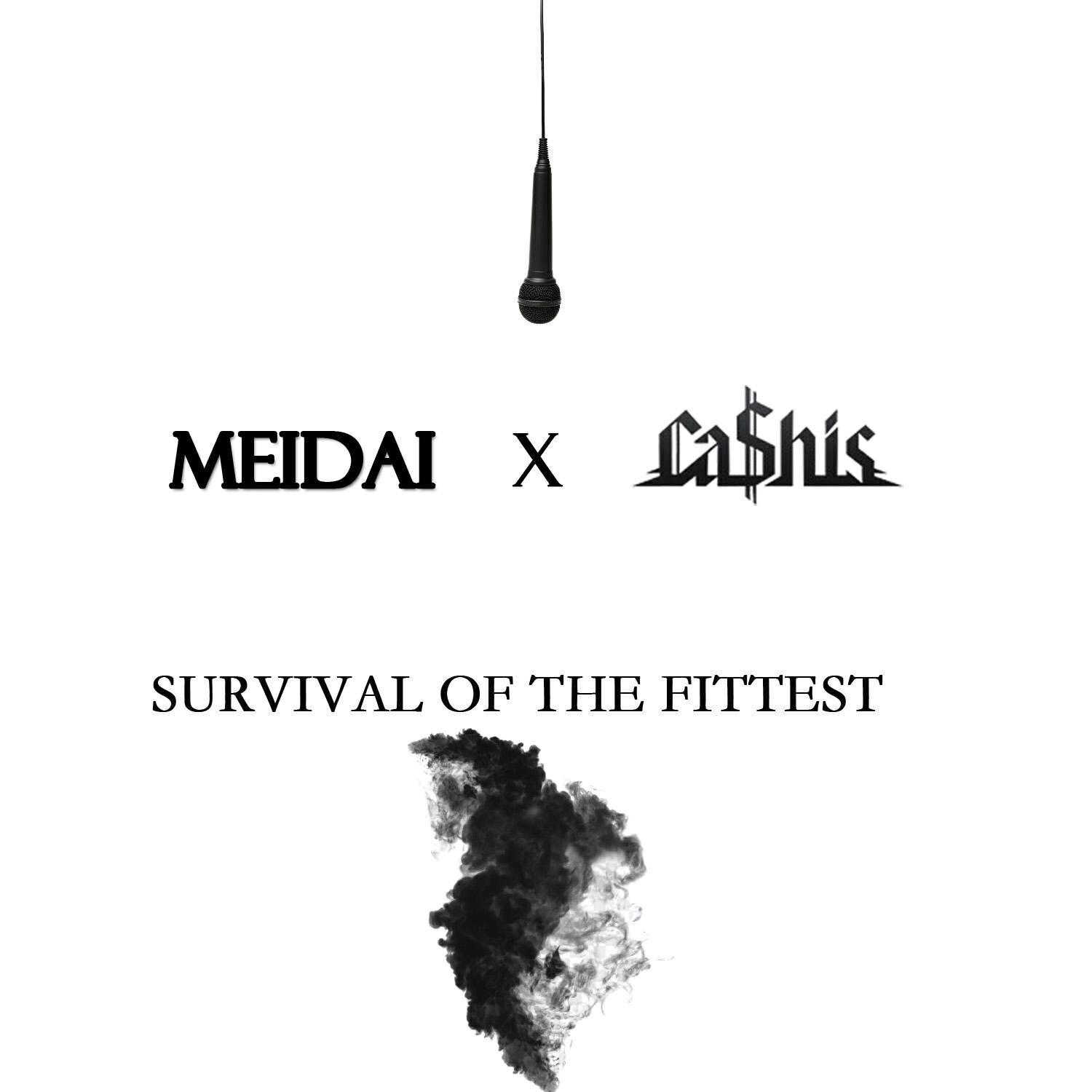 Meidai
