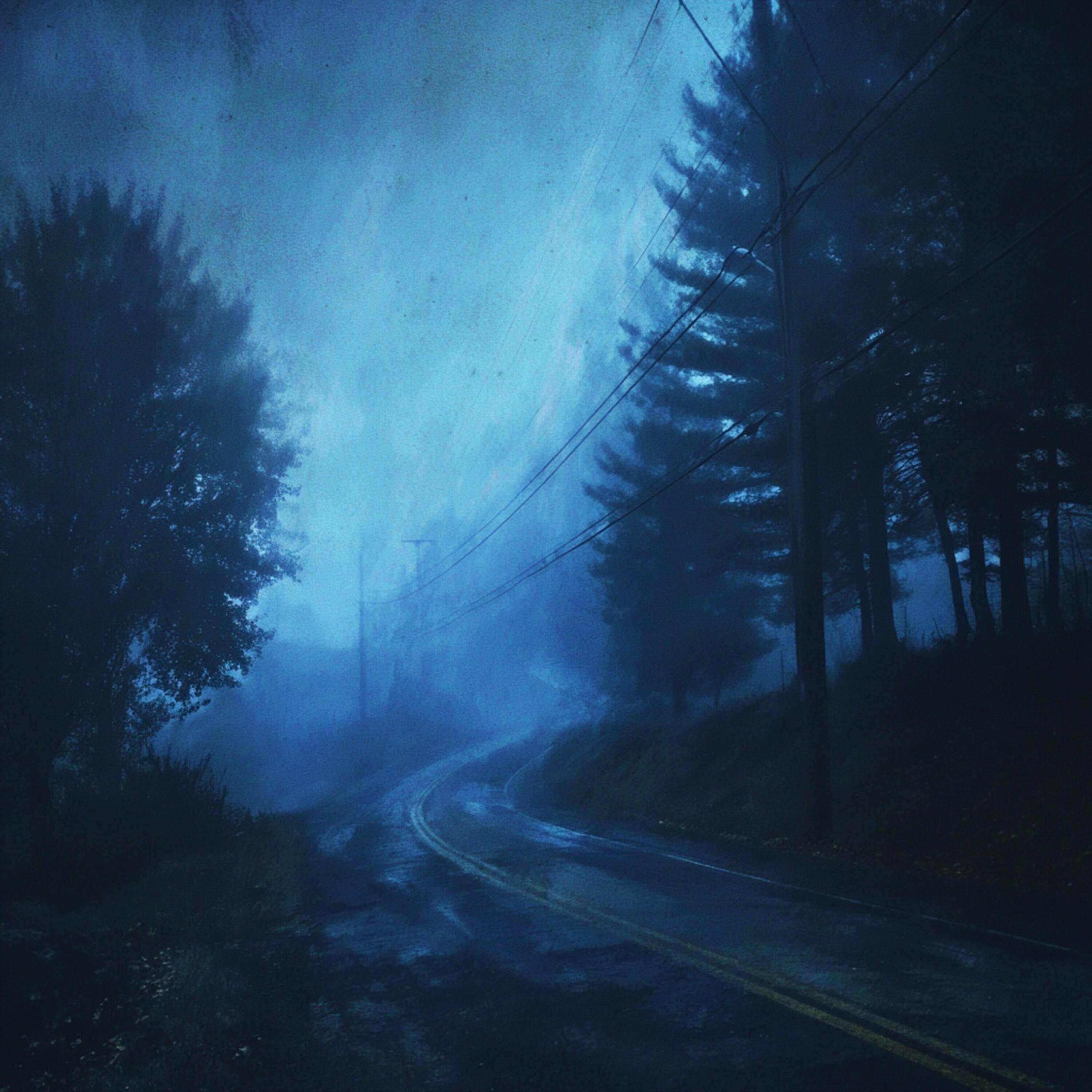 Релиз gloomy forest