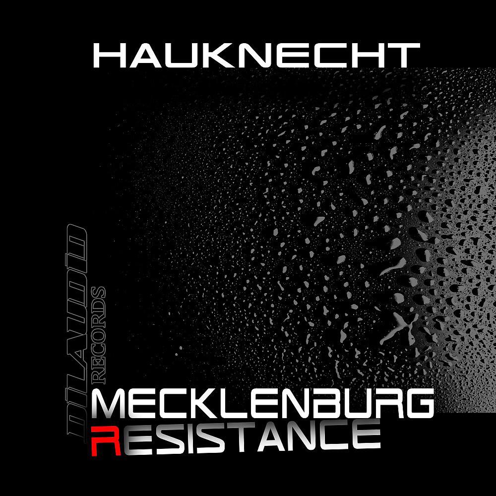Релиз Mecklenburg Resistance