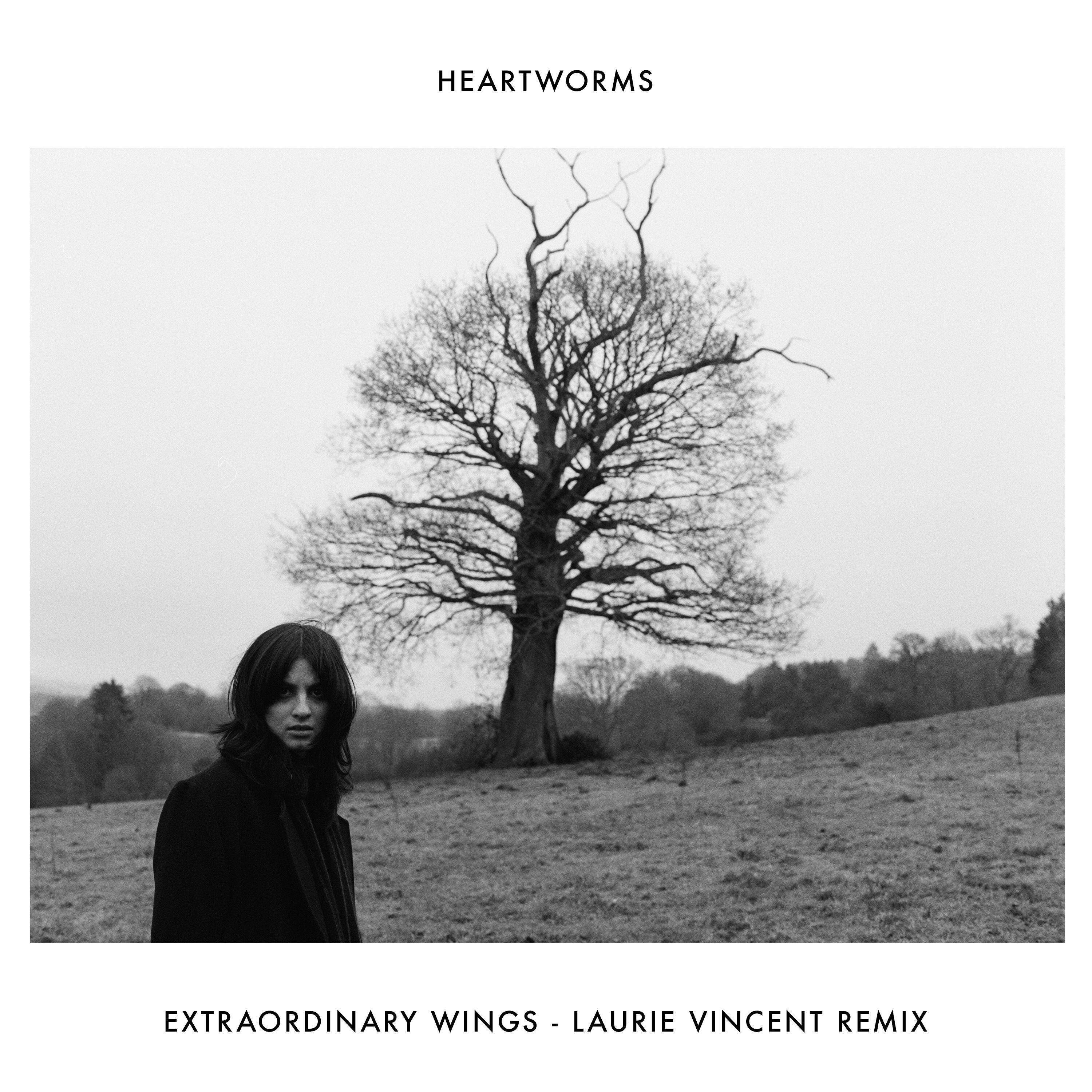 Релиз Extraordinary Wings (Laurie Vincent Remix)